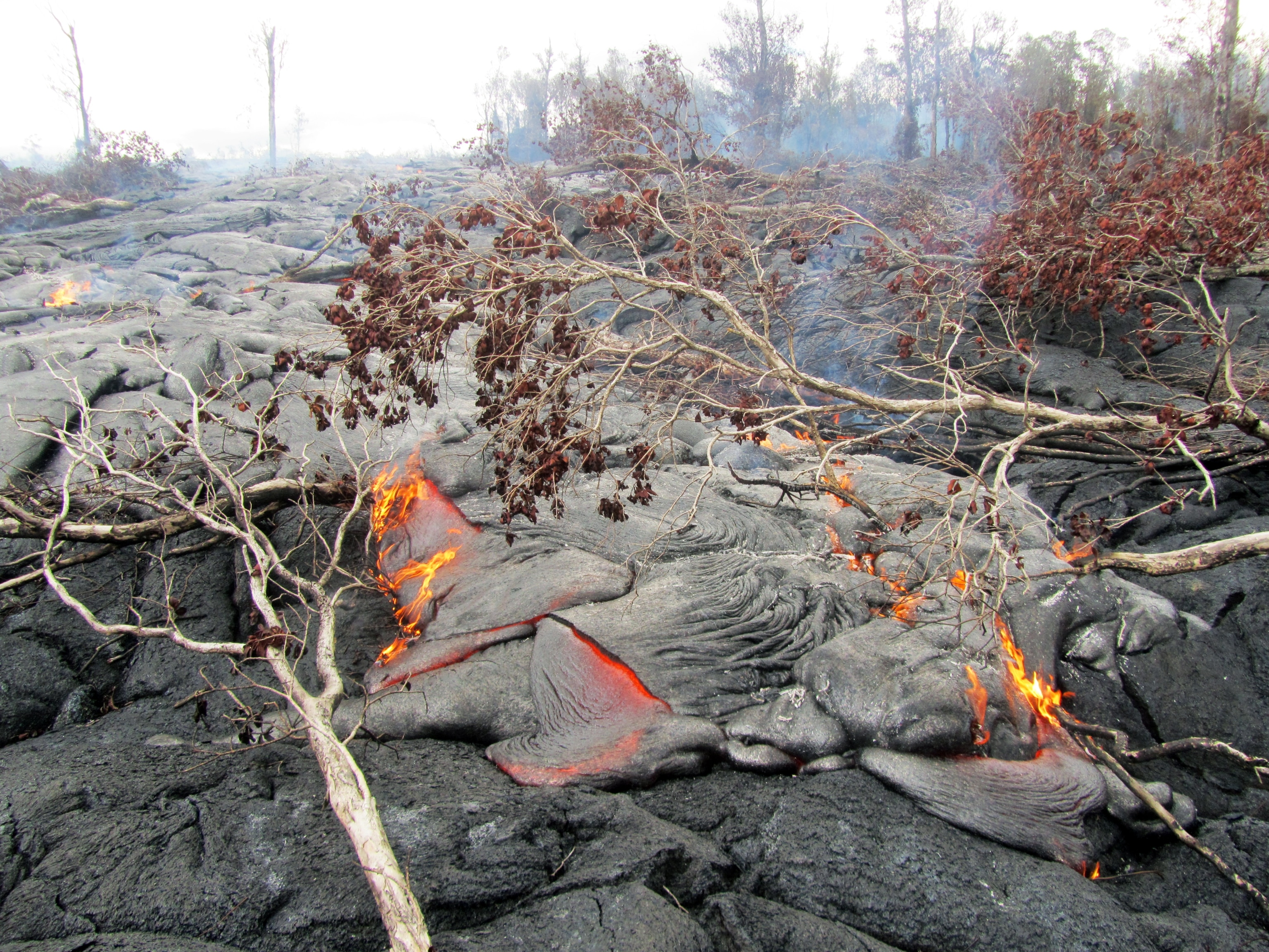 The June 27th lava flow remains active and continues advancing towards the northeast on Sept. 15, 2014.