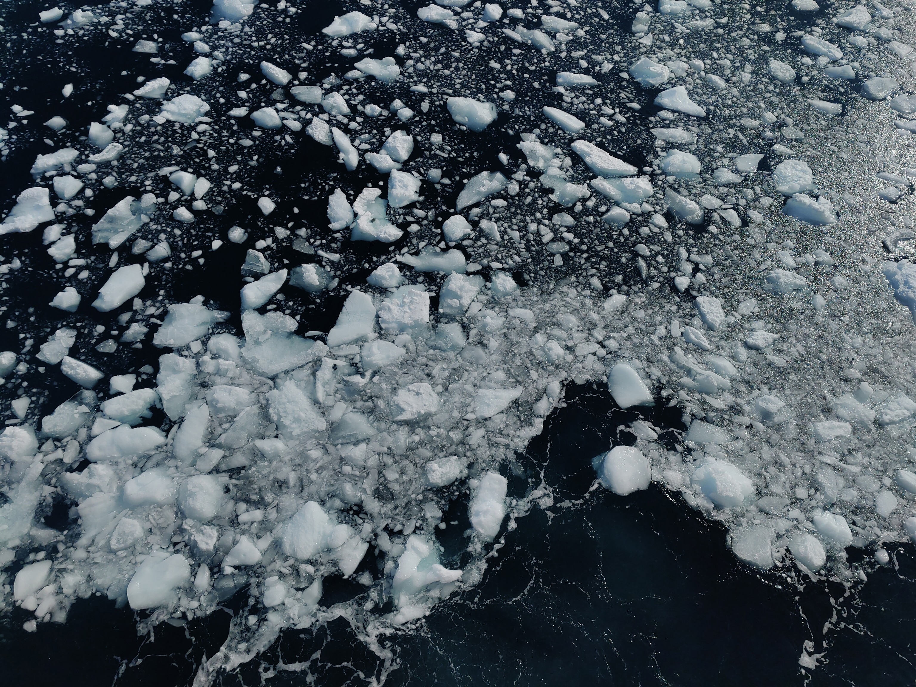 floating ice in the seas surrounding Antarctica