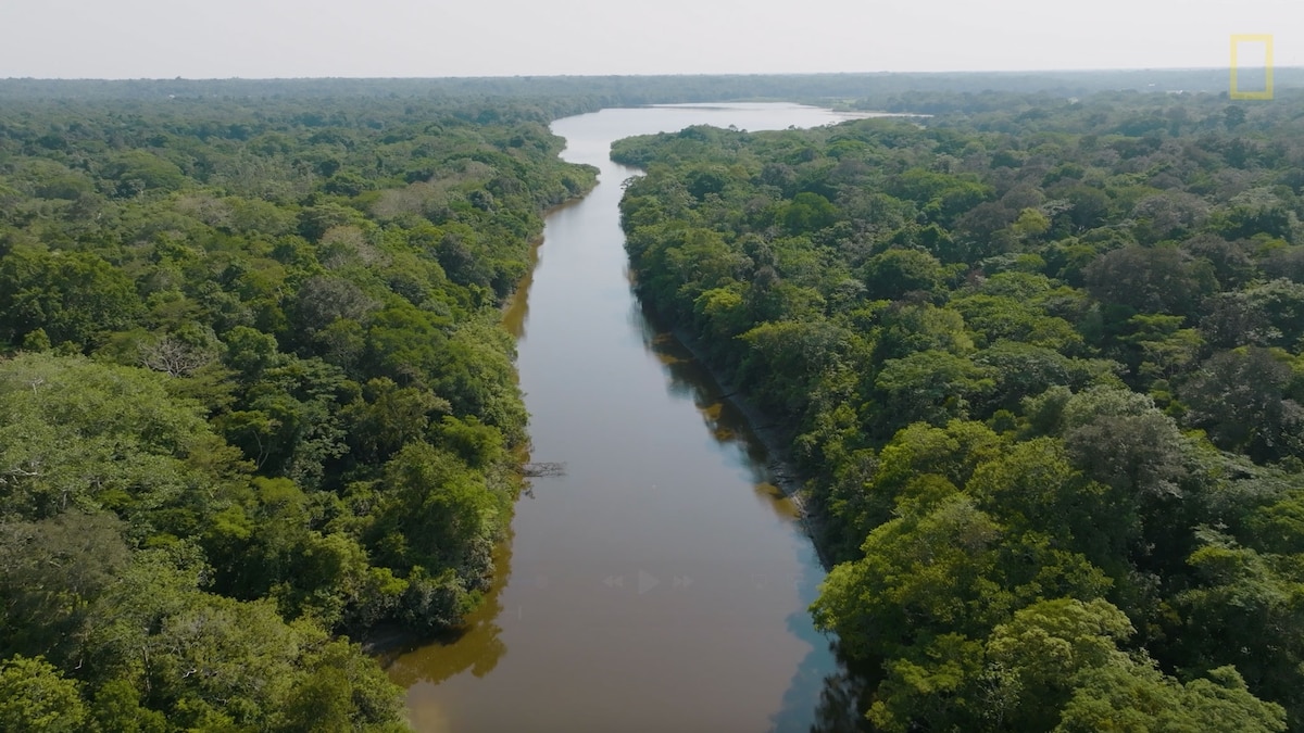 National Geographic and Rolex Perpetual Planet Amazon Expedition ...