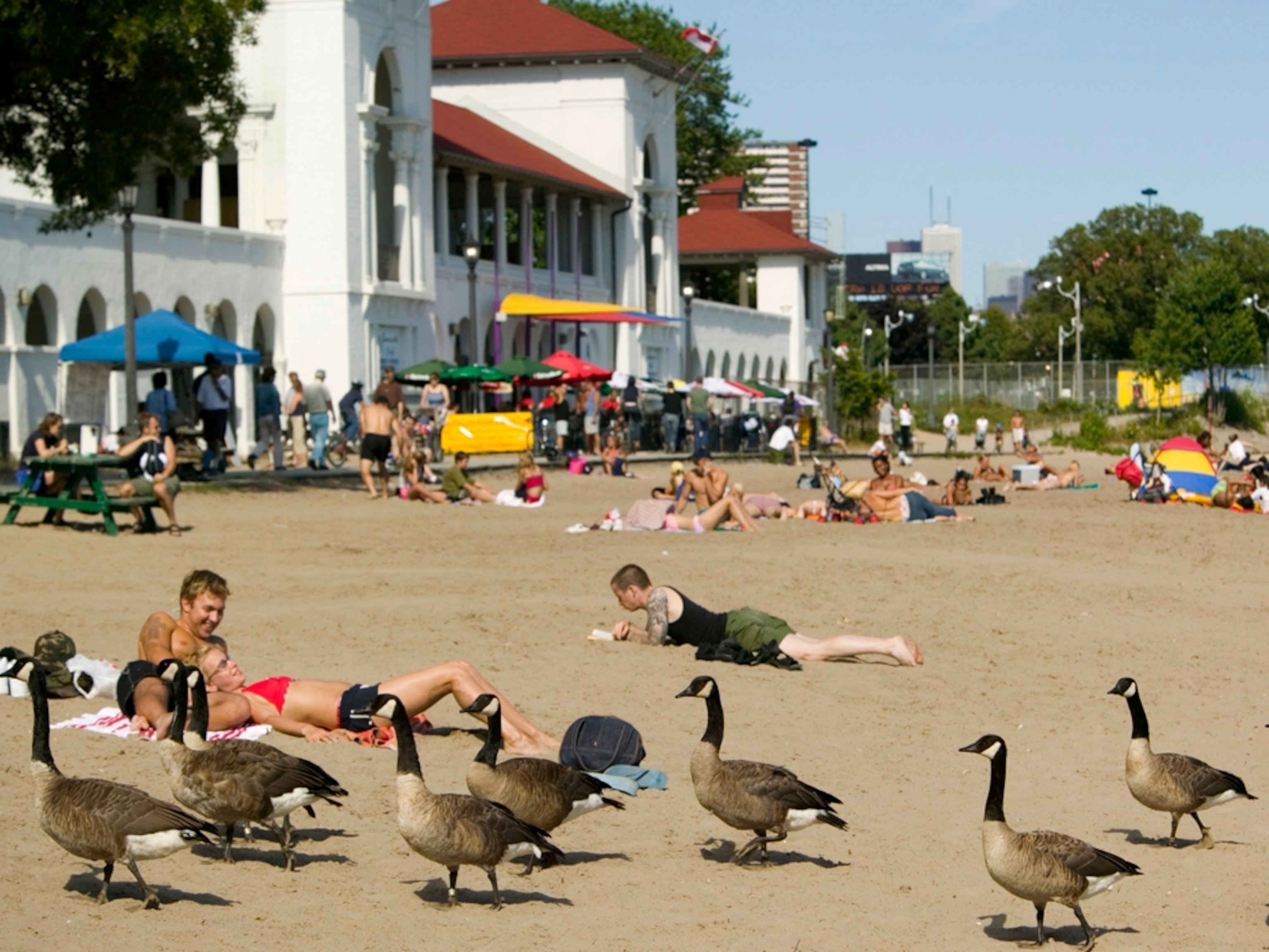 Sunnyside Beach Park