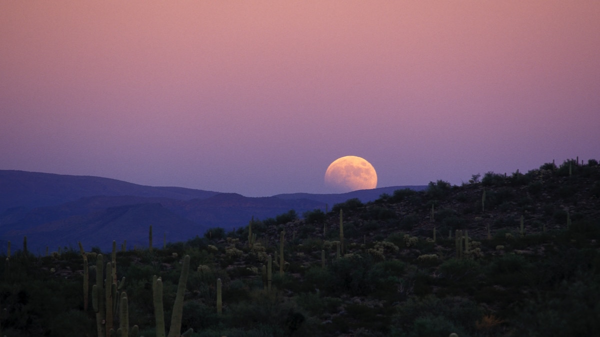 Watch Partial Lunar Eclipse Live Tonight | National Geographic