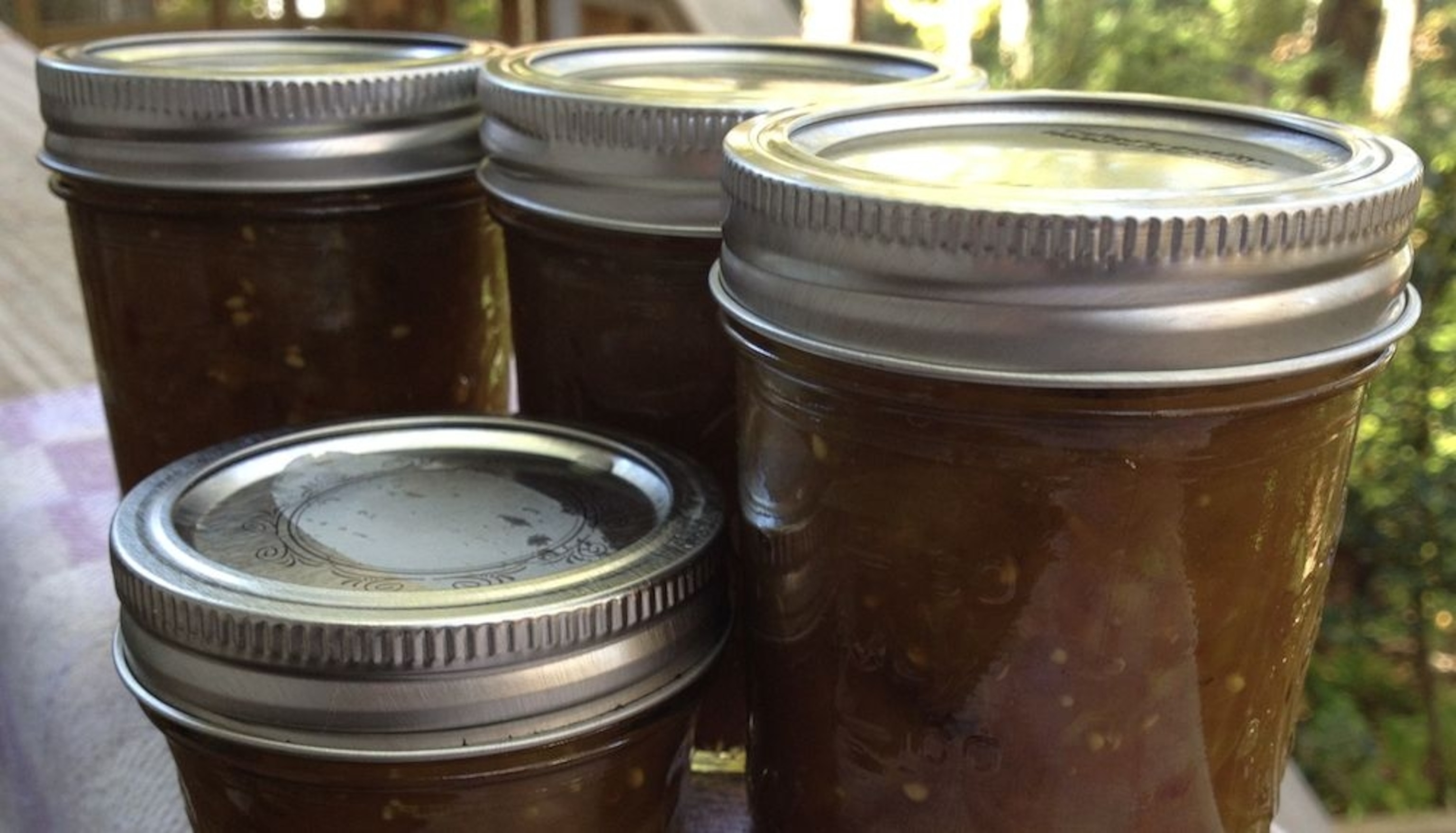 Photograph by Maryn McKenna