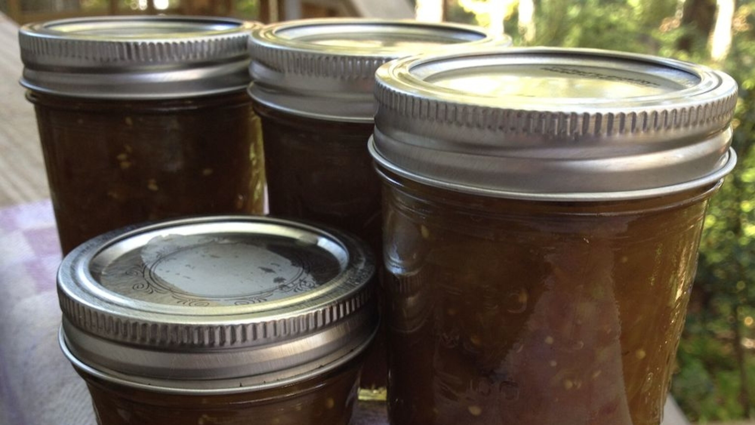 Volunteer Tomatoes Chutney and an Echo of History
