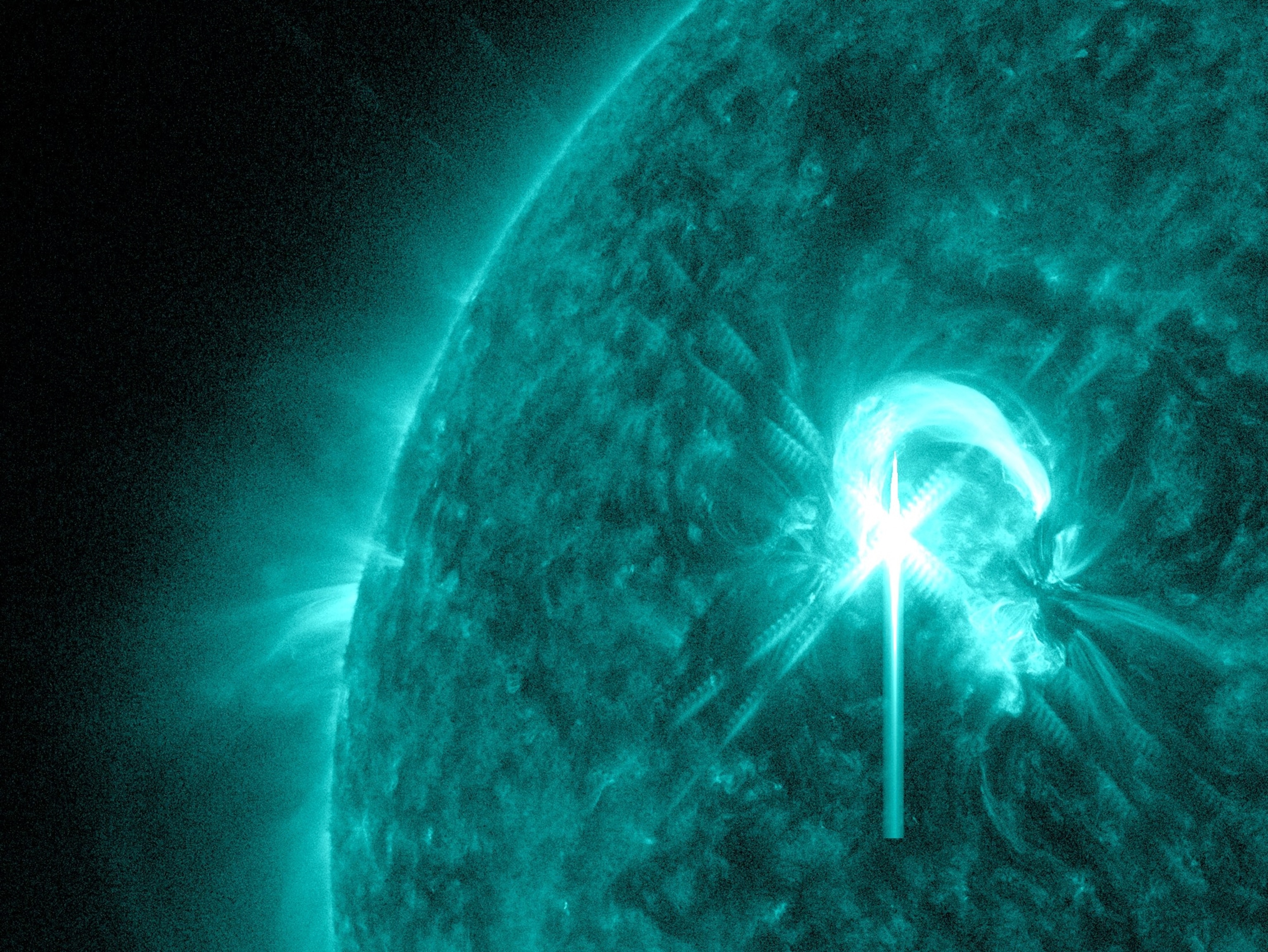 Solar flare picture: one of the week's best space pictures