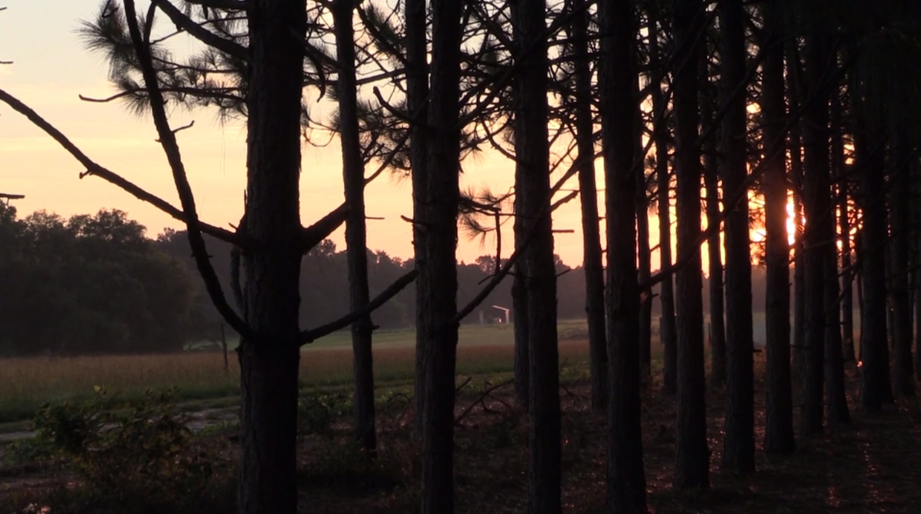 Screen Shot 2014-10-16 at 3.14.15 PM