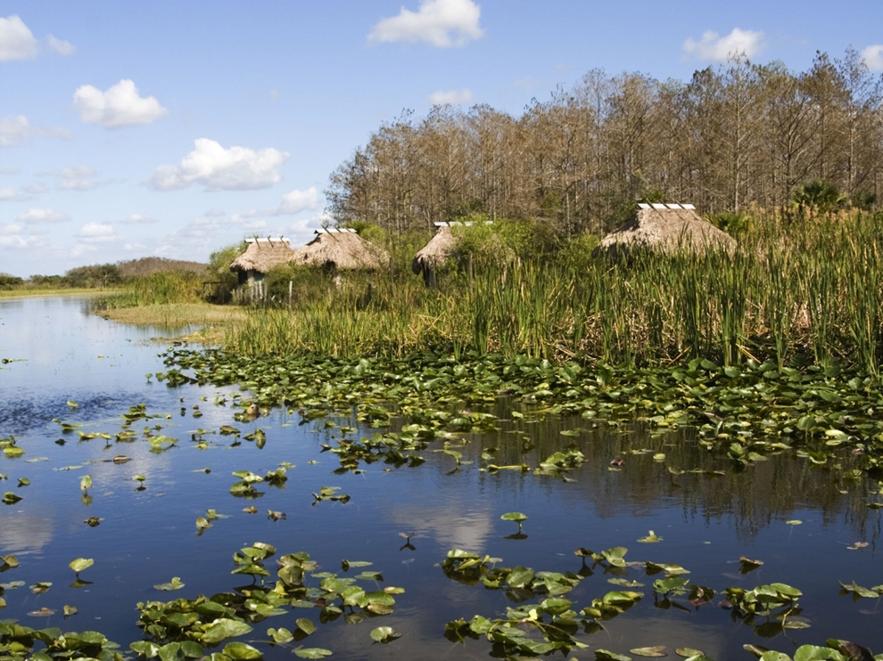 huts in the Billie Swamp Safari, Big Cypress Seminole Reservation, Florida