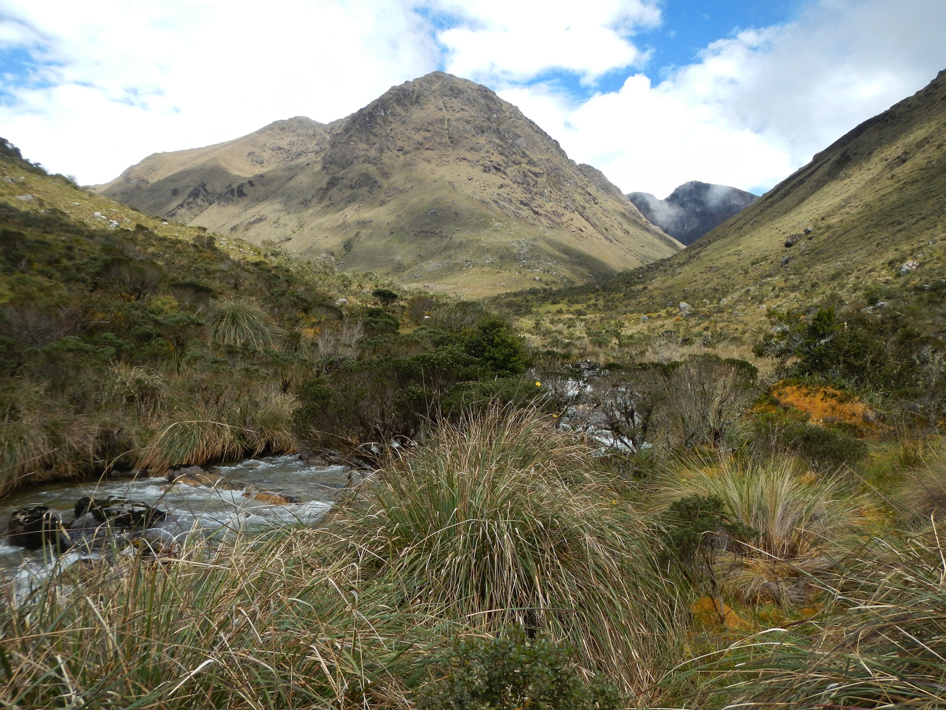 Pui Pui Protected Forest