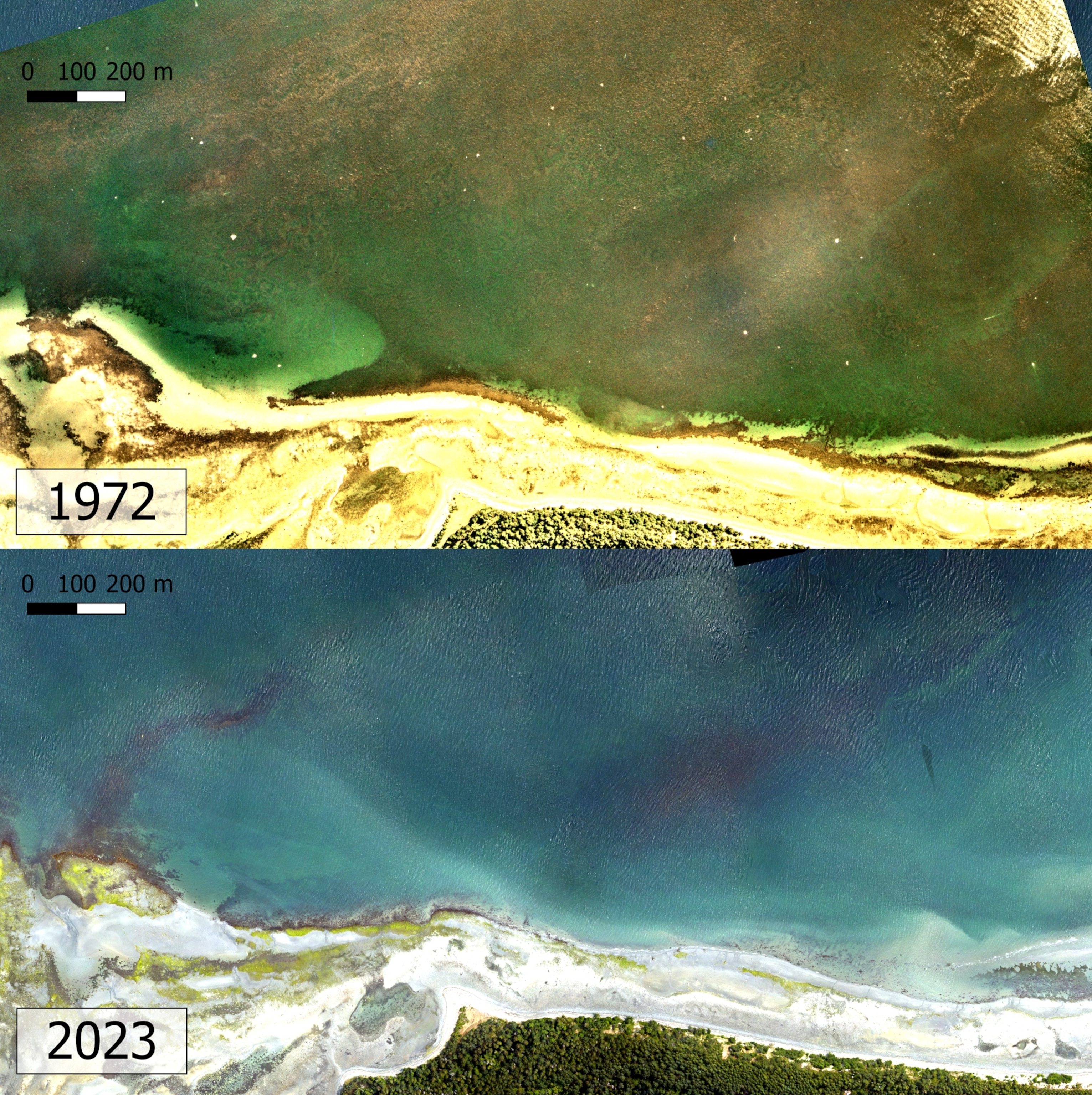 Comparison of coastal landscapes from 1972 and 2023. The 1972 image shows dense green kelp vegetation offshore. The 2023 photo shows clearer, blue water