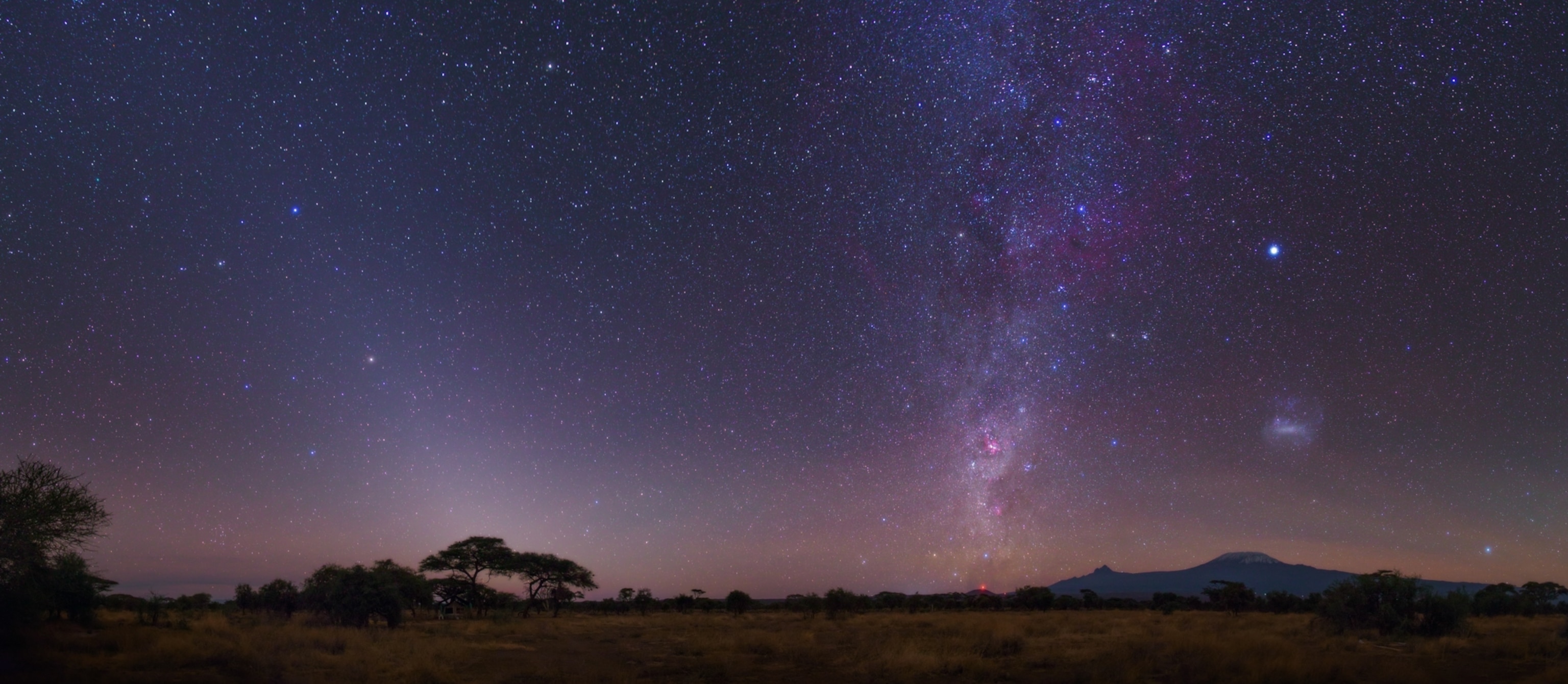 Starry night sky over a vast landscape with distant mountains and silhouetted trees. The Milky Way arcs brightly right of center, while a cone of zodiacal light is visible to the left