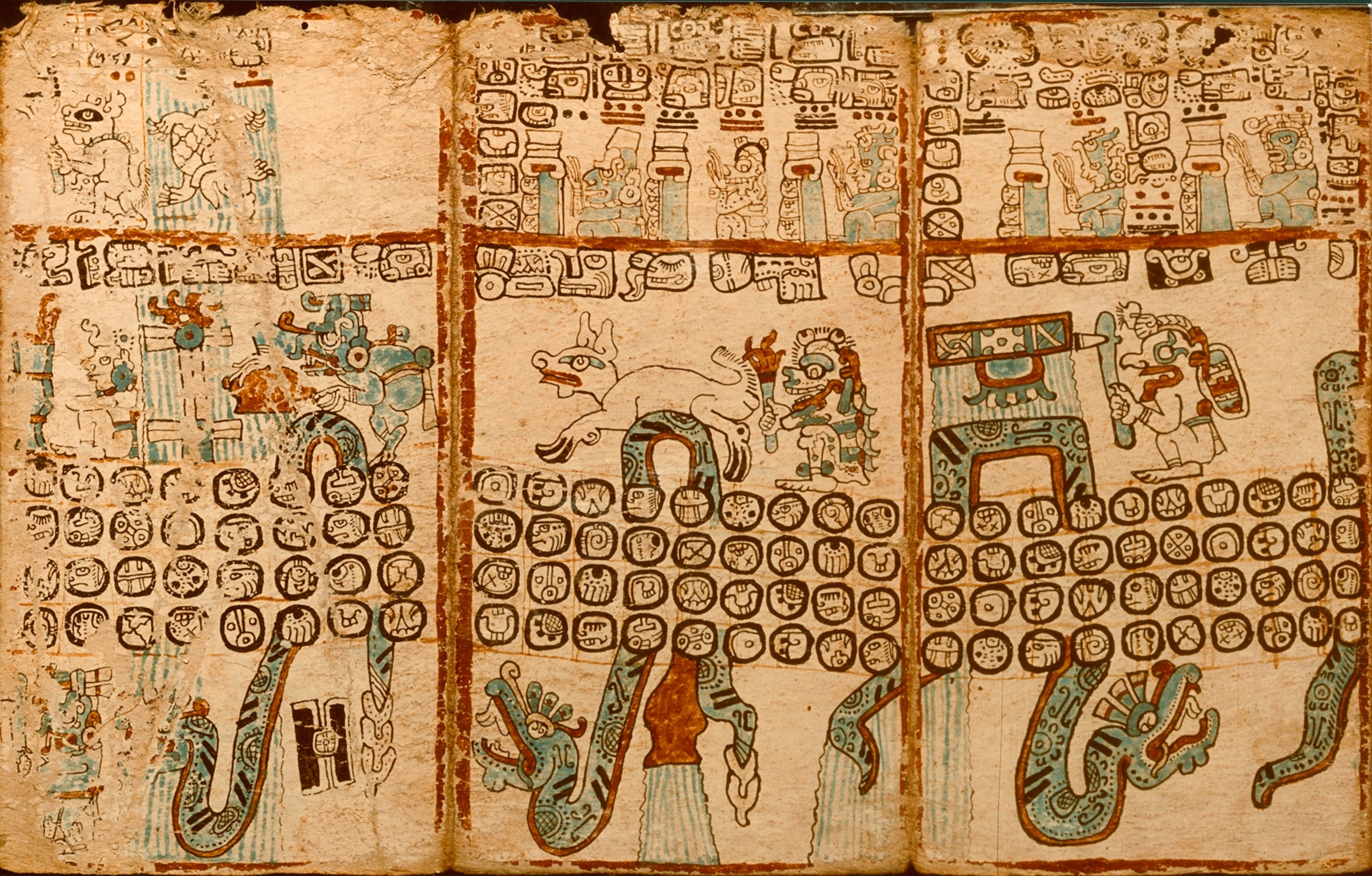 Farmer's almanac of bygone centuries, the Madrid Codex (far right and foldout pages) once guided Maya priests performing divination rites relating to hunting, weaving, planting, bee keeping, and rainmaking. A scribe painted the codex on a folded 22-foot length of paper made of the fig tree's inner bark that had been pounded and coated with fine white lime plaster. It was read left to right on both sides.