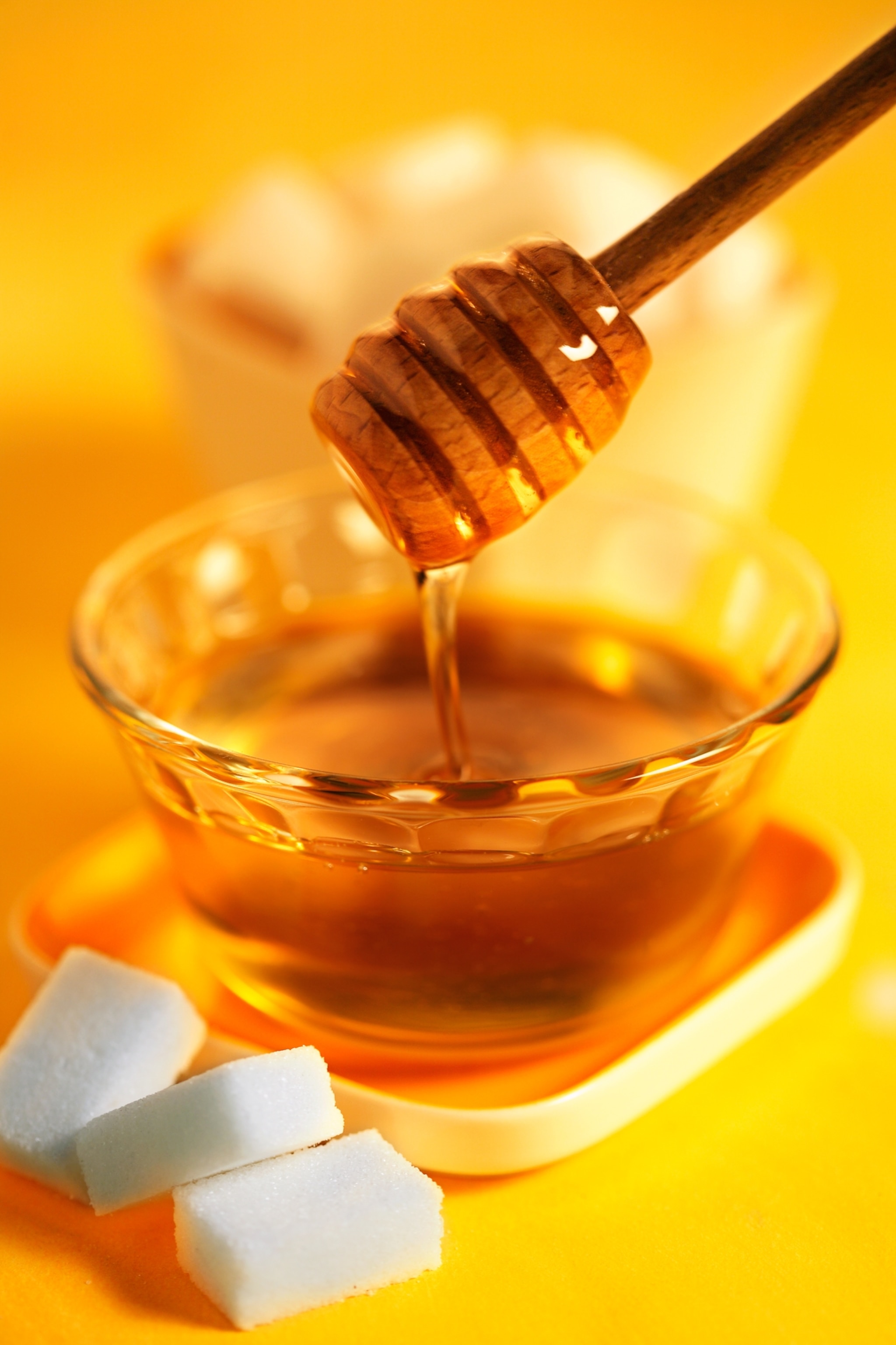 Honey and sugar cubes on a yellow background