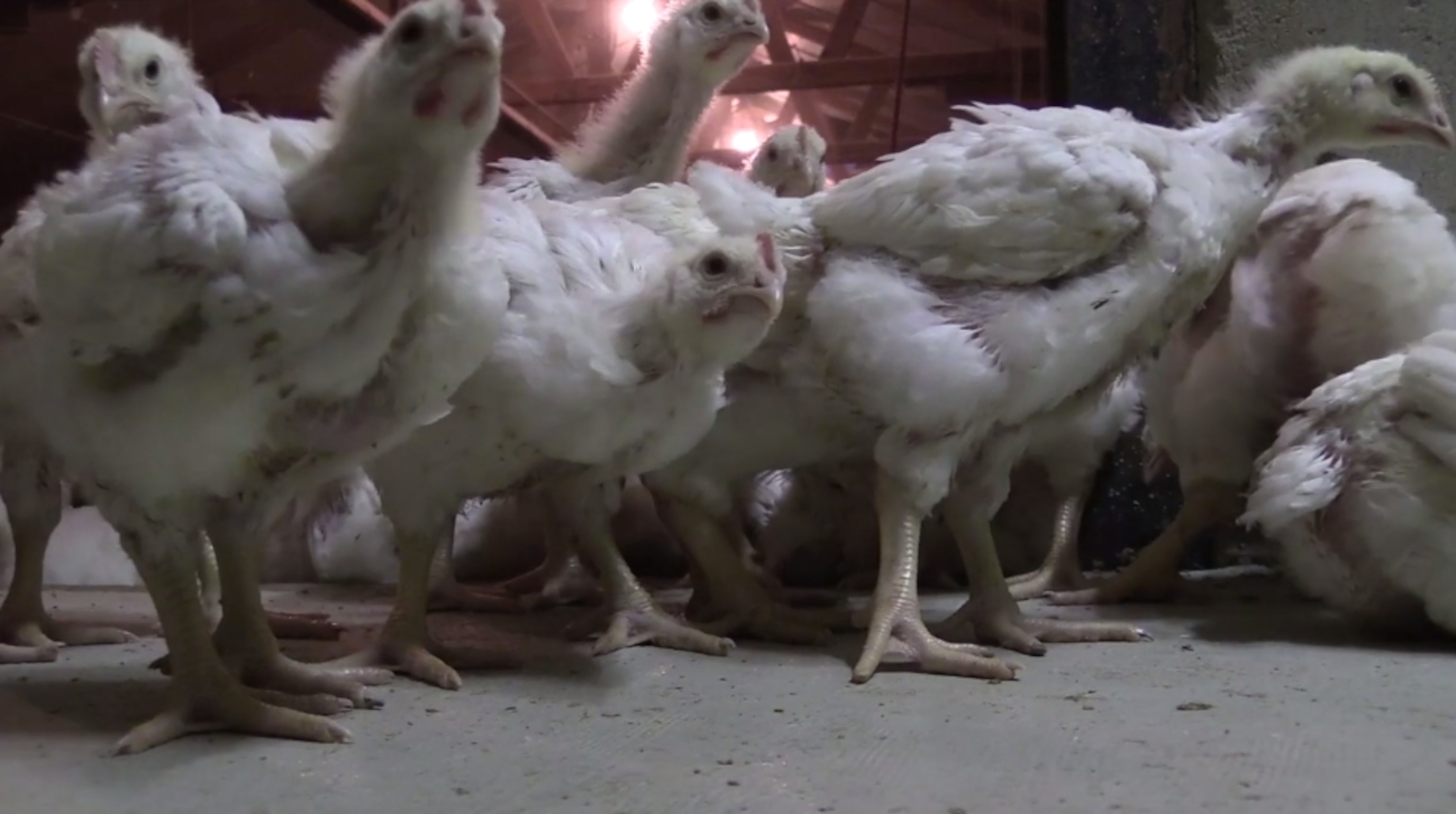 Screen Shot 2014-06-30 at 3.31.25 PM