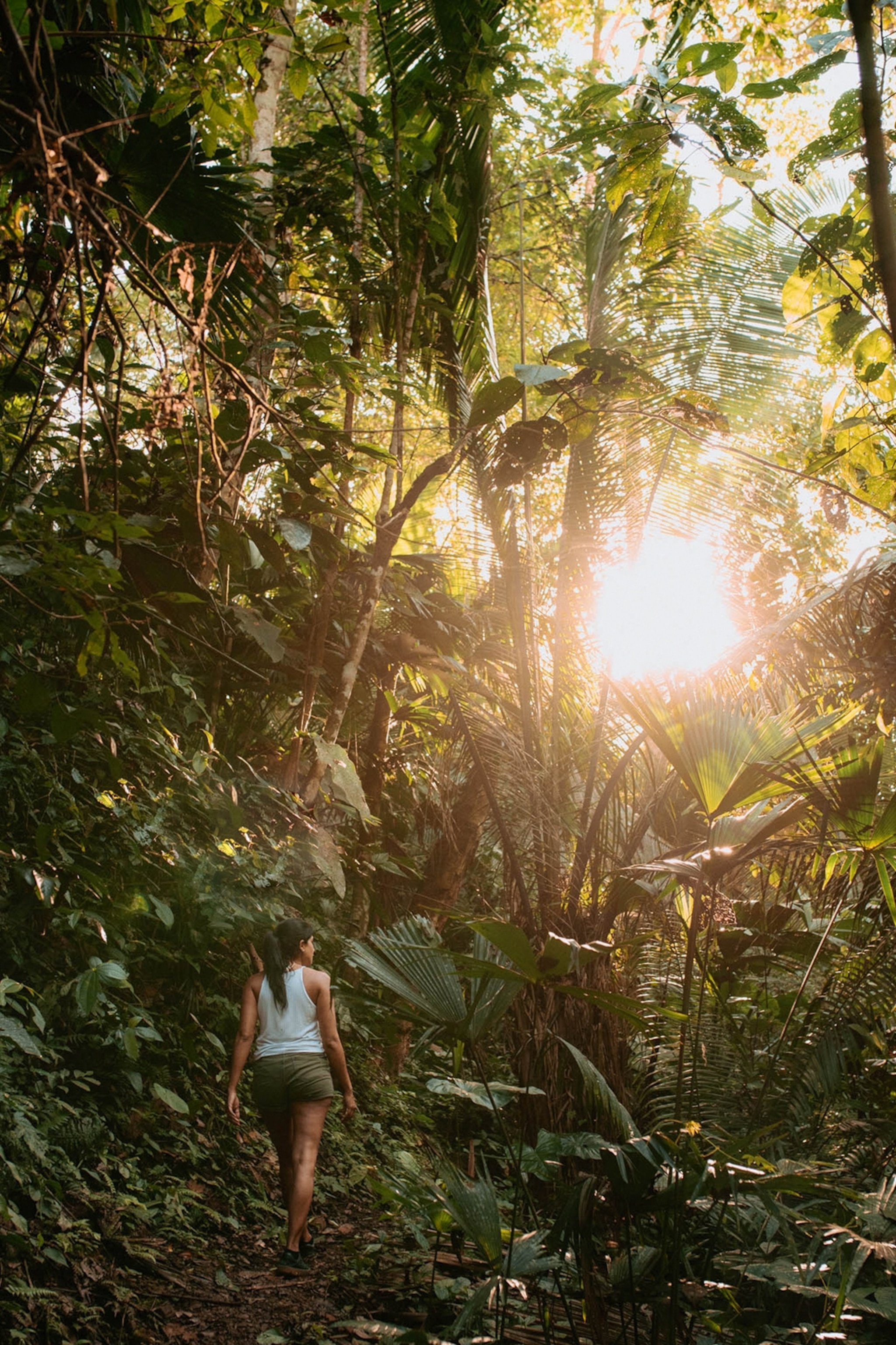 A woman walking through a lush rainforest.