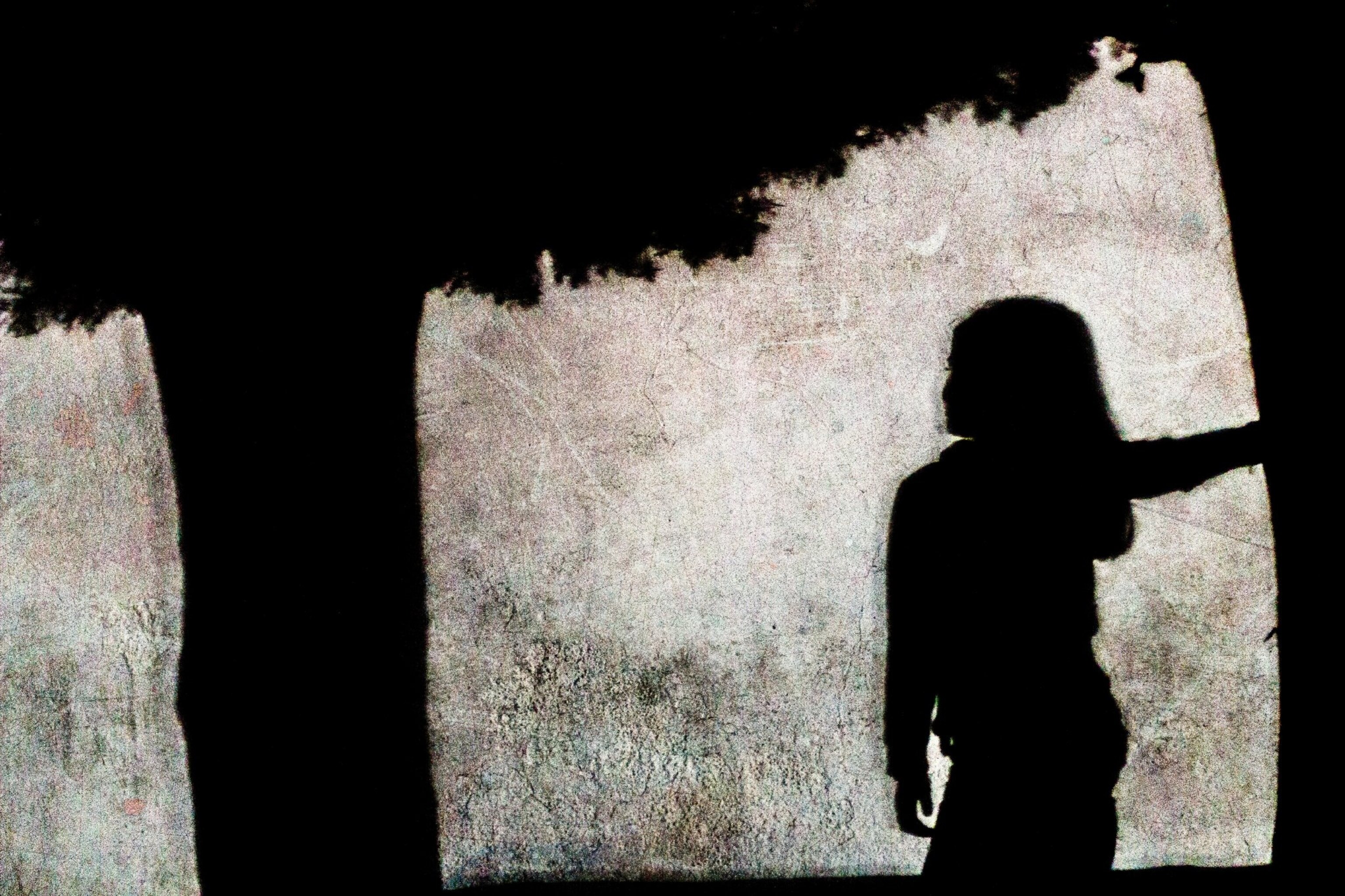 tree and girl shadows
