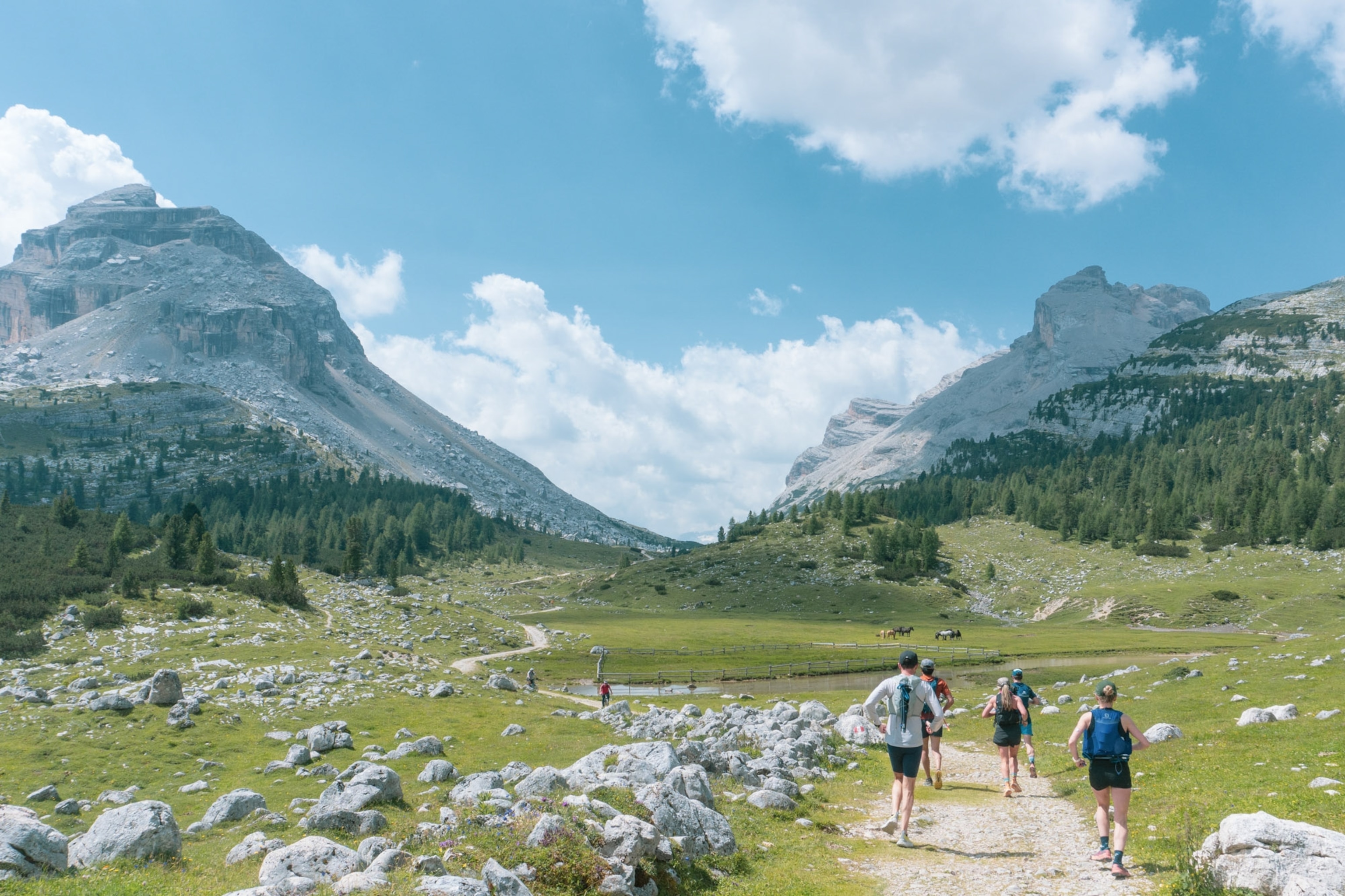 A group of runners seen from behind as they run towards a mountain pass in the Dolomites
