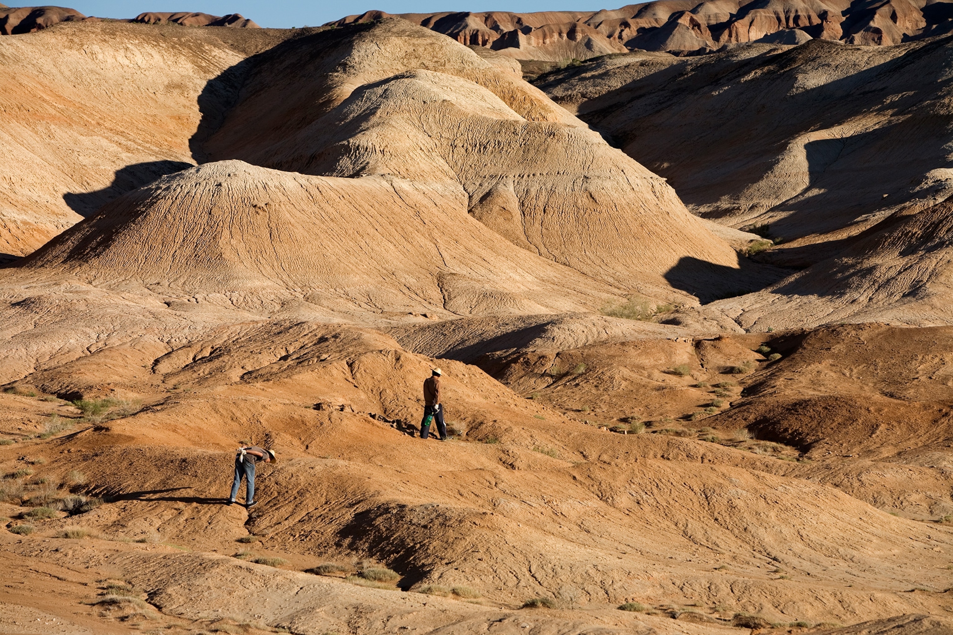 Junggar Basin