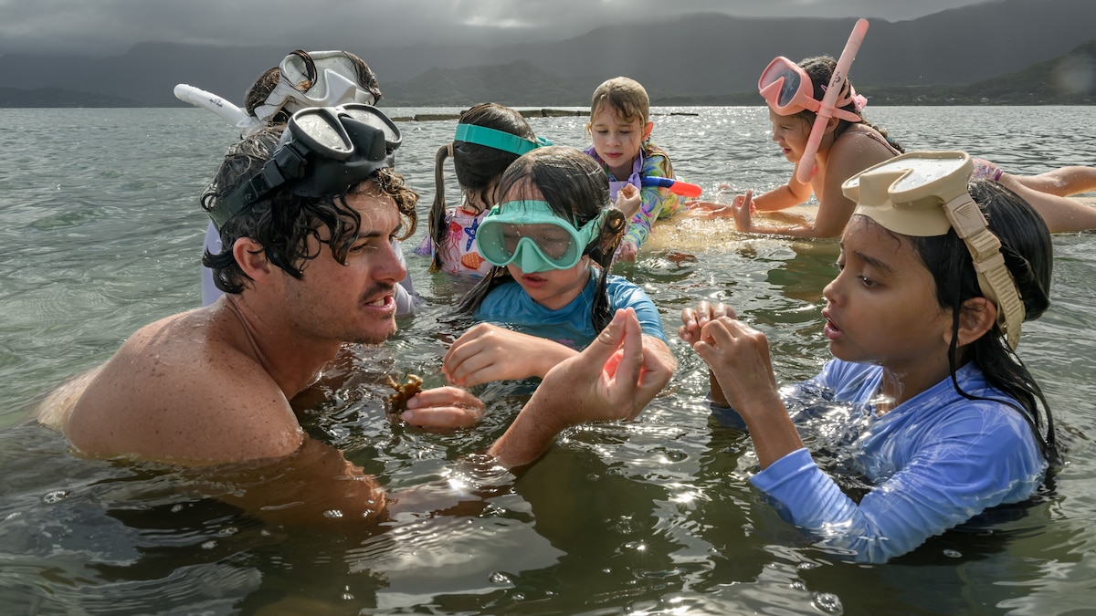 Could an ancient Hawaiian marine technology help depleted ocean ecosystems recover?