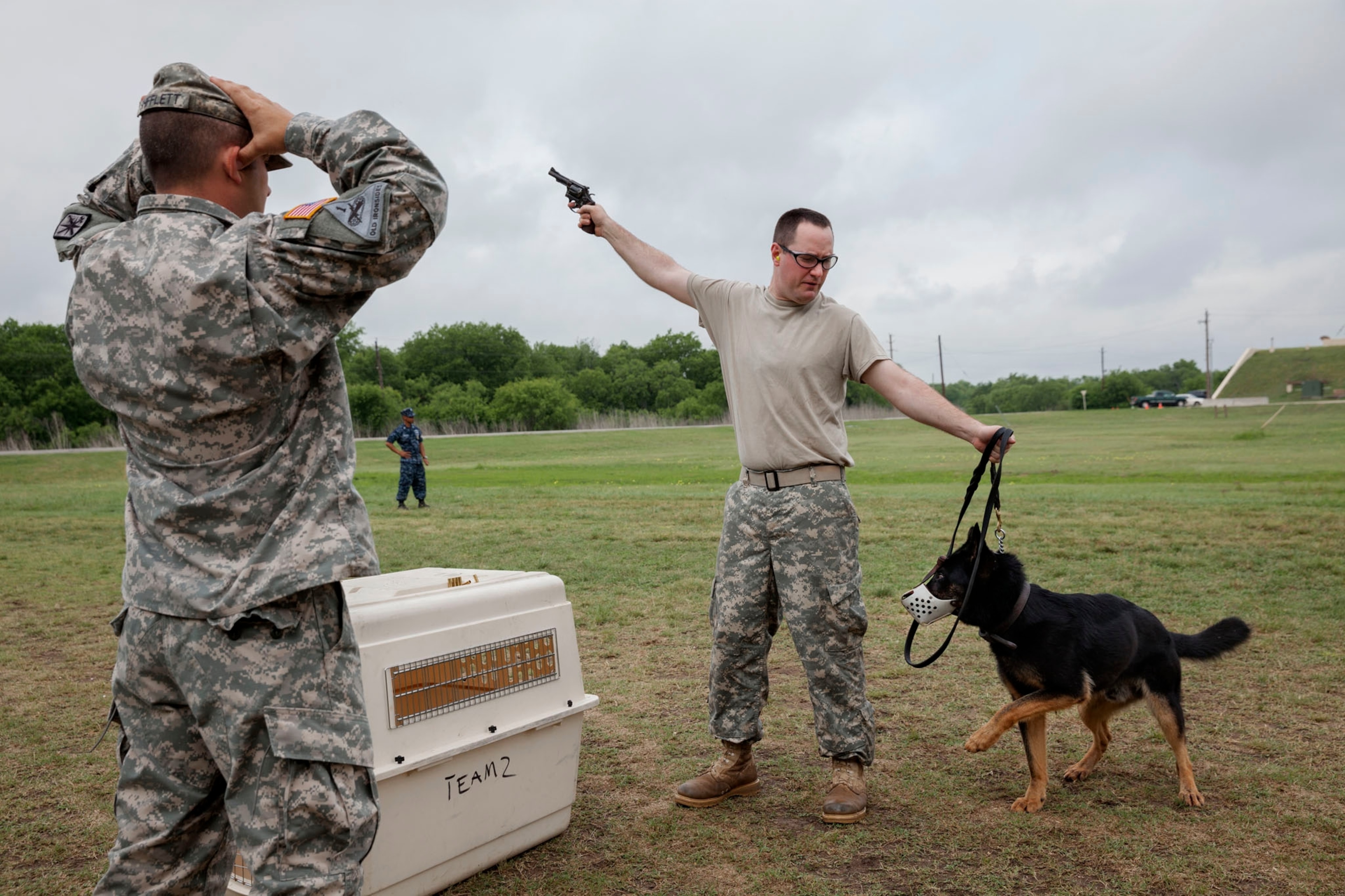 a military student practices gunfire conditioning with a military working dog.