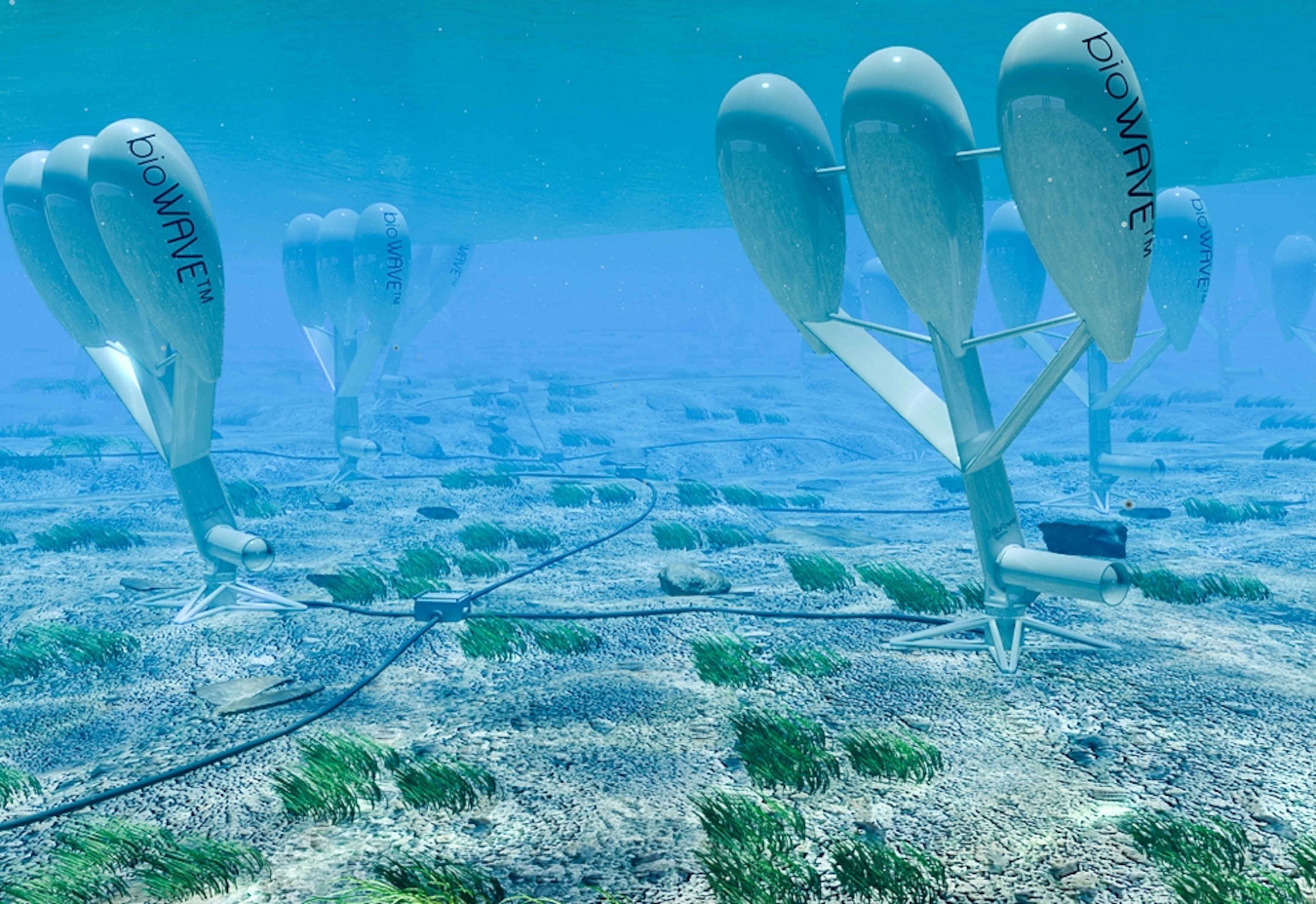 The BioWAVE wave energy system