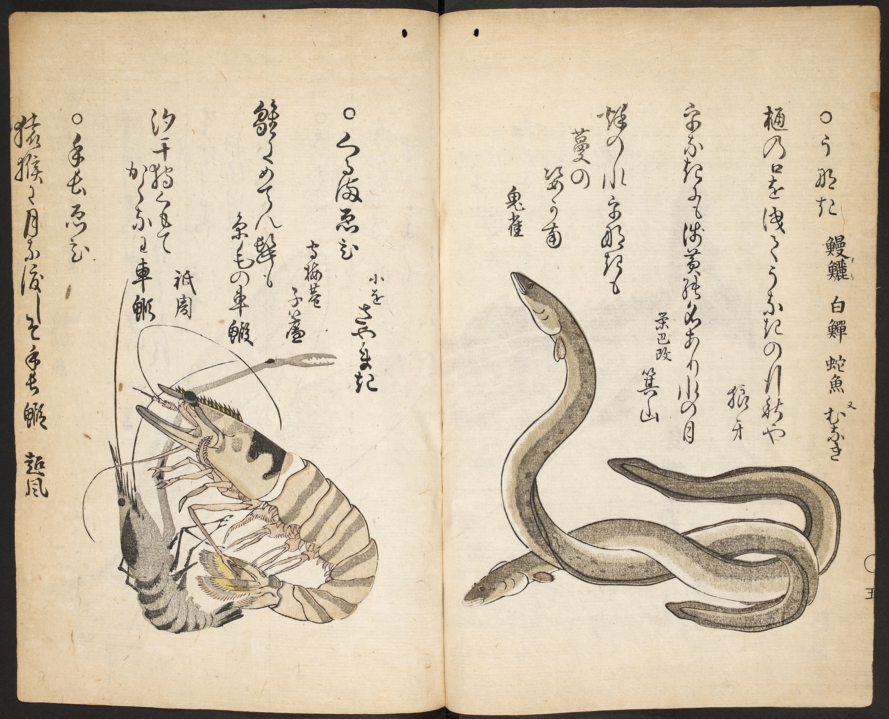 A book page with Lobsters and eel illustrations and Japanese poetry.