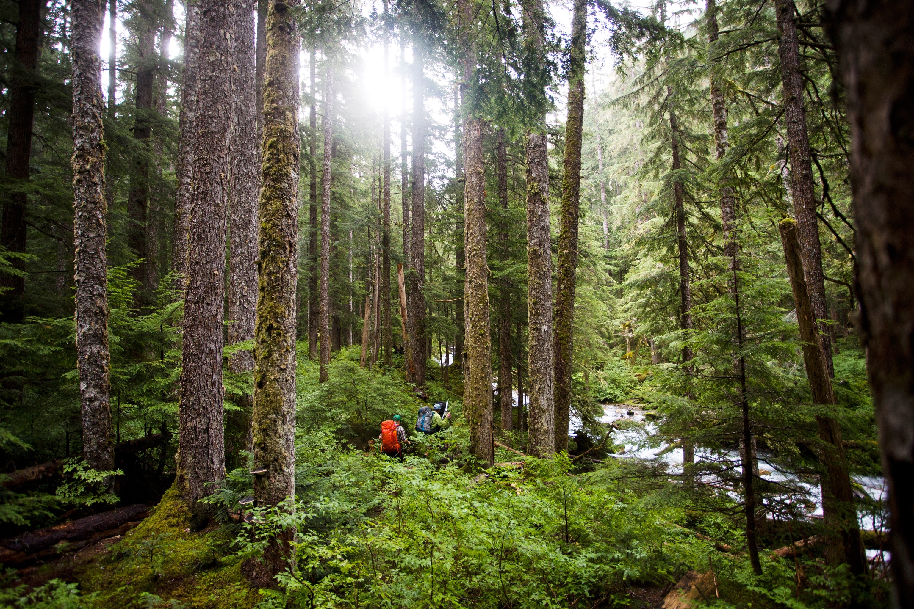 hikers in North Cascades National Park