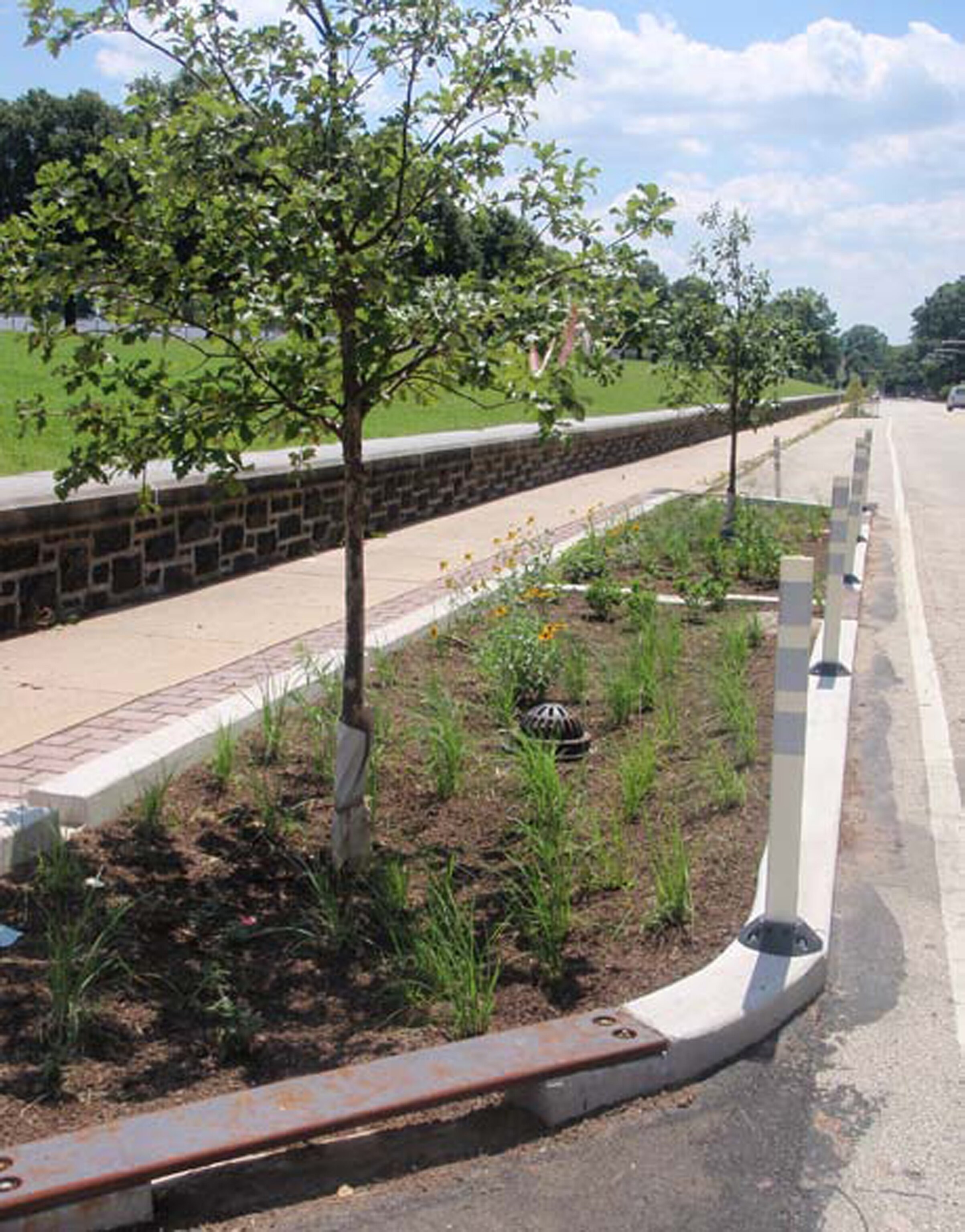 A Philadelphia ''bumpout'' captures water runoff during storms.