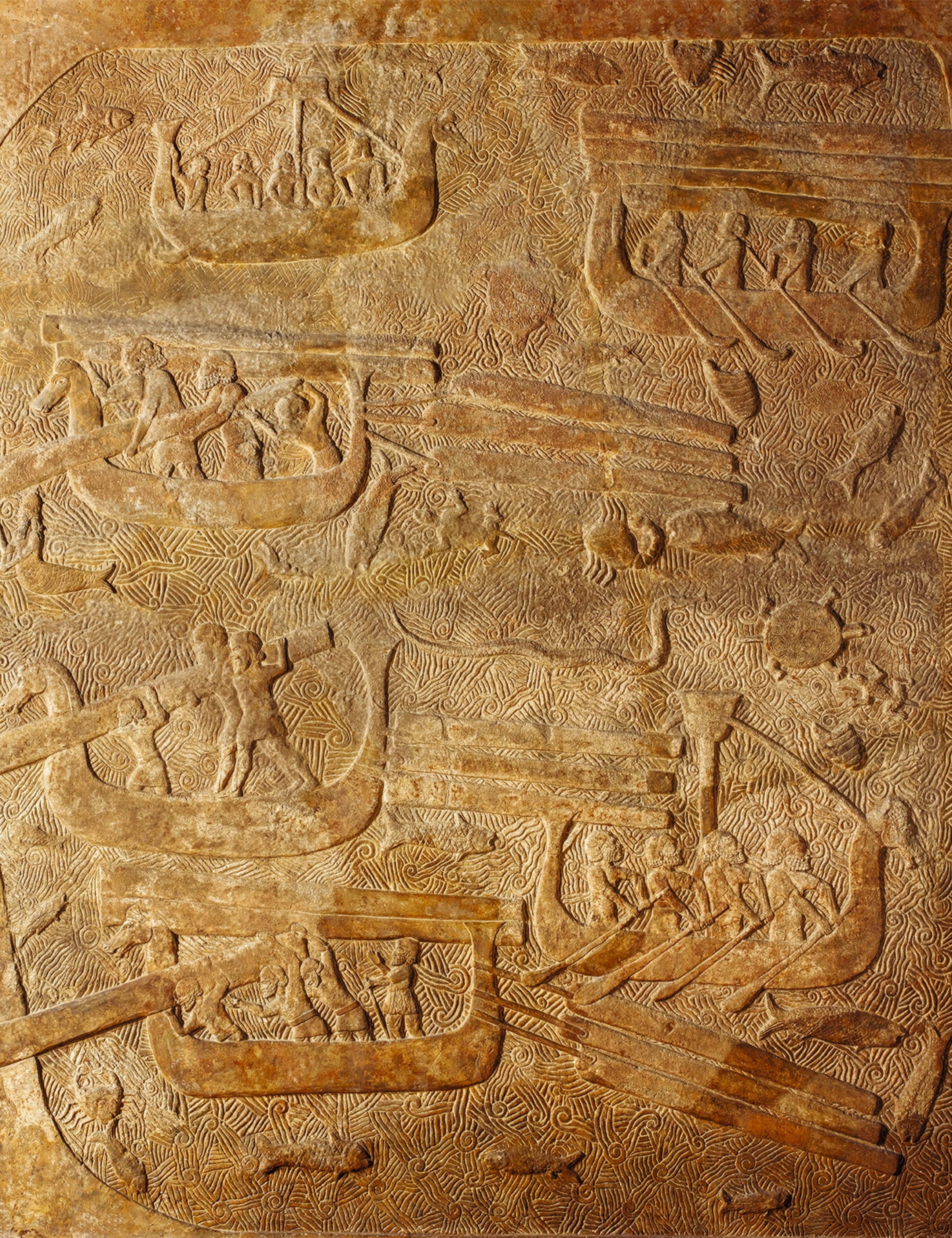 An eighth-century B.C. relief shows Phoenician ships transporting cedar wood.