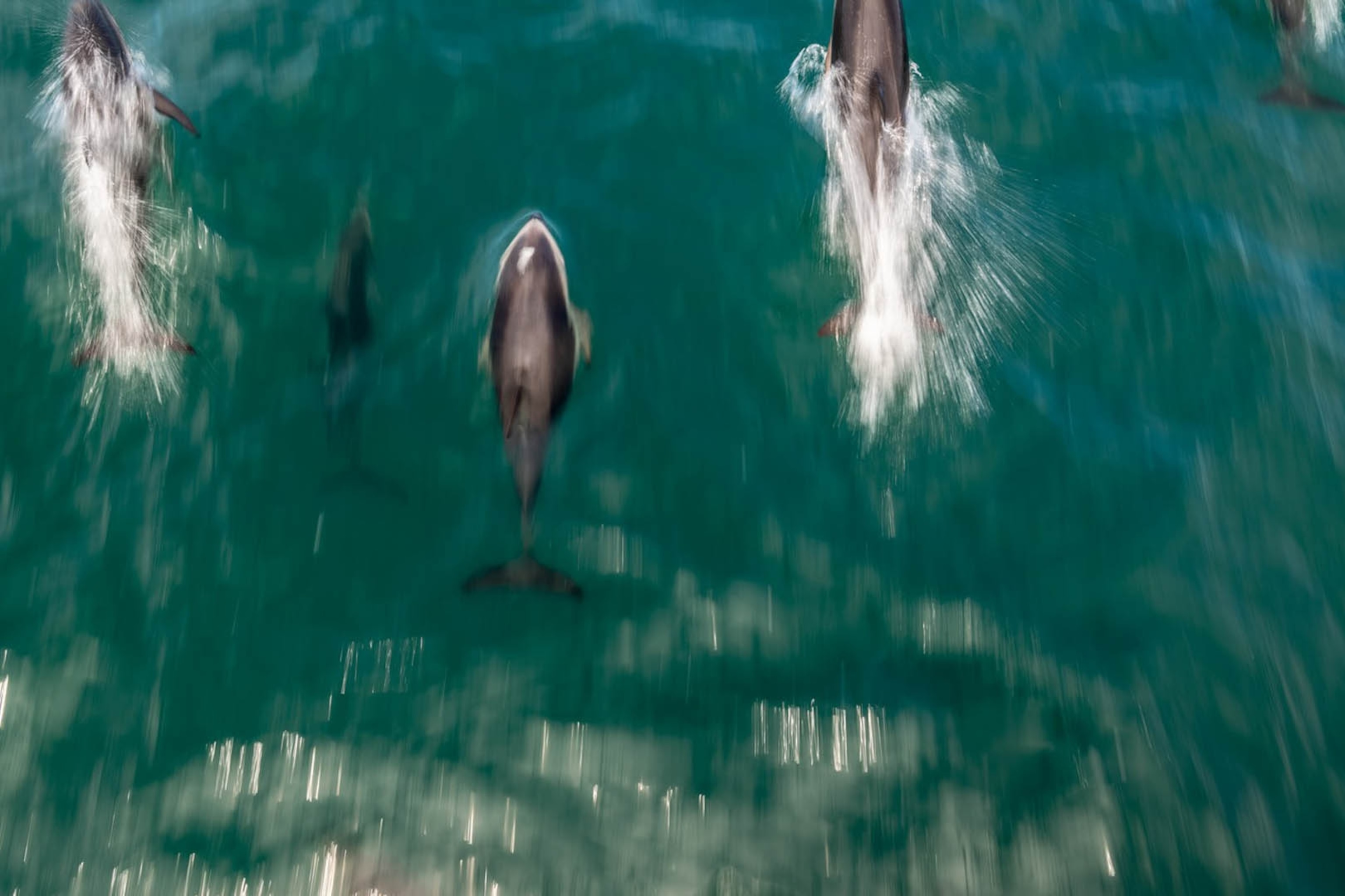 New Zealand, Kaikoura