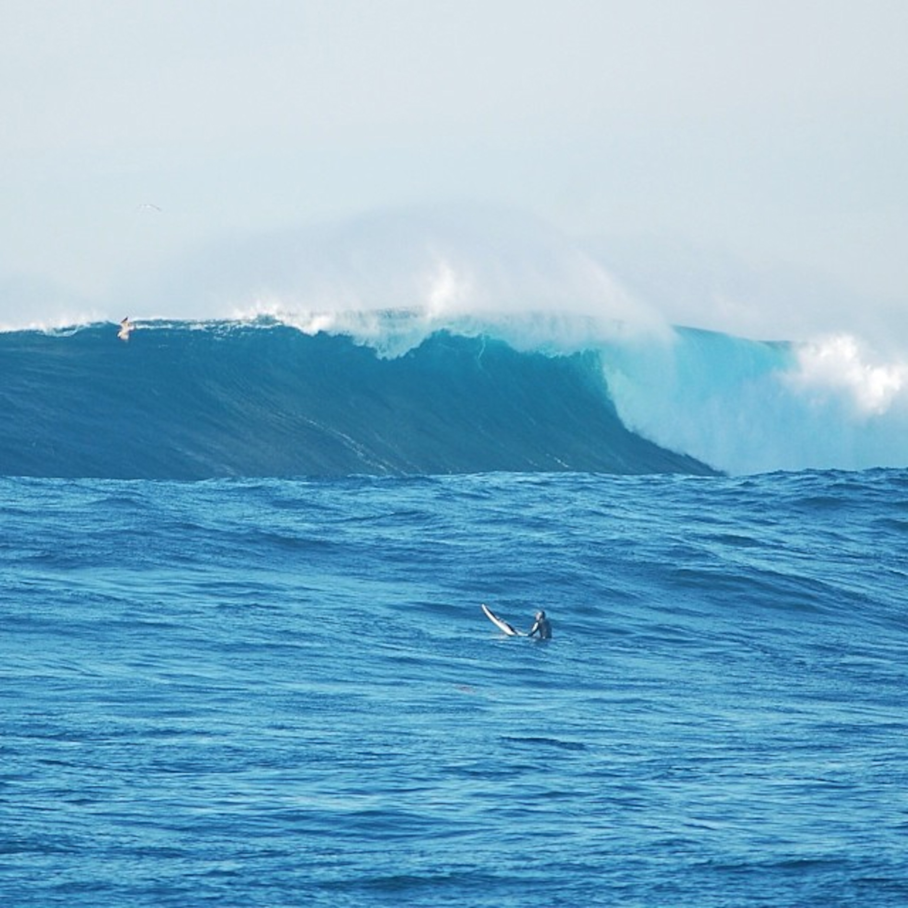 a surfer riding a giant wave