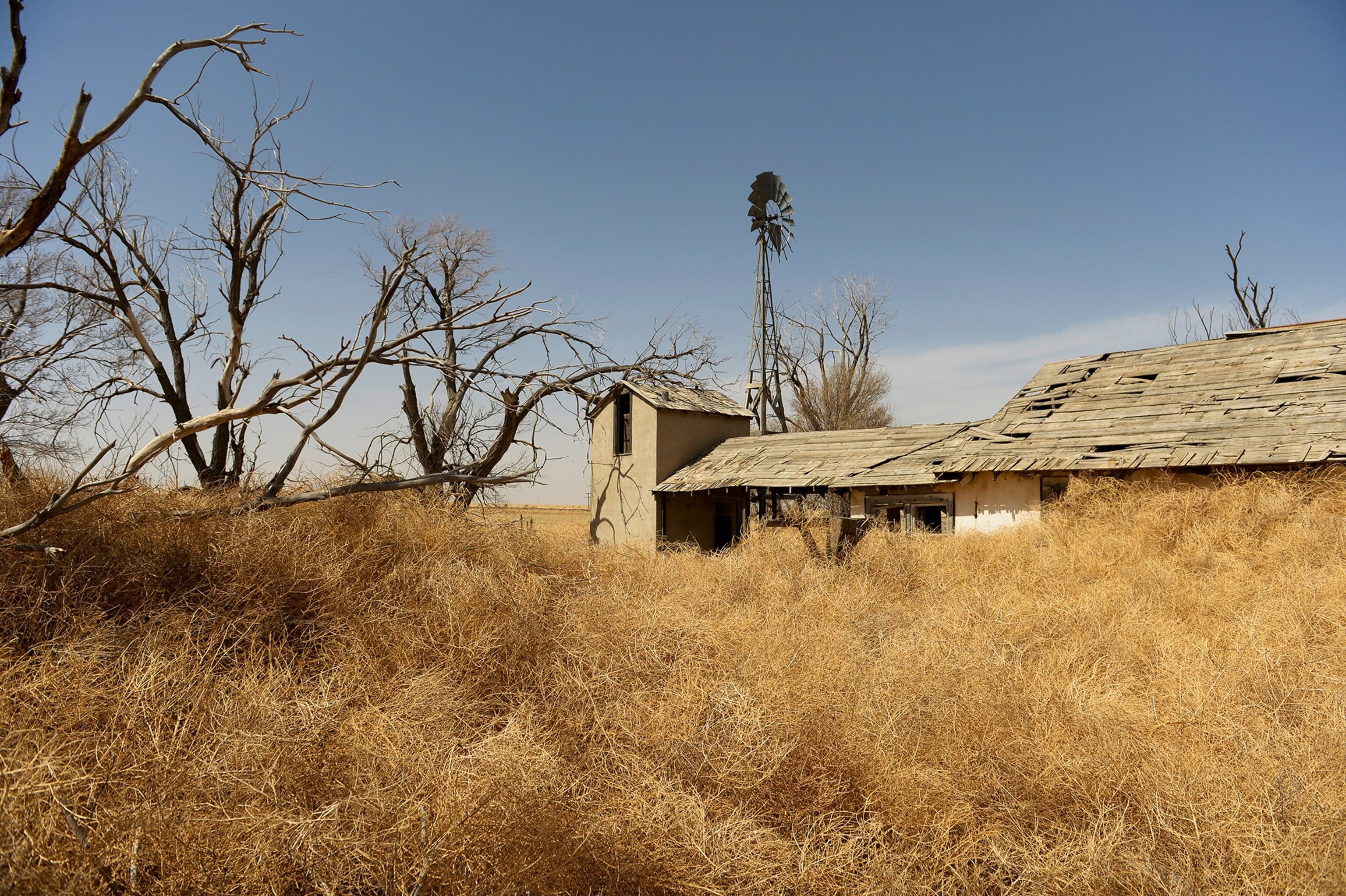 a farmer walking through a dust storm