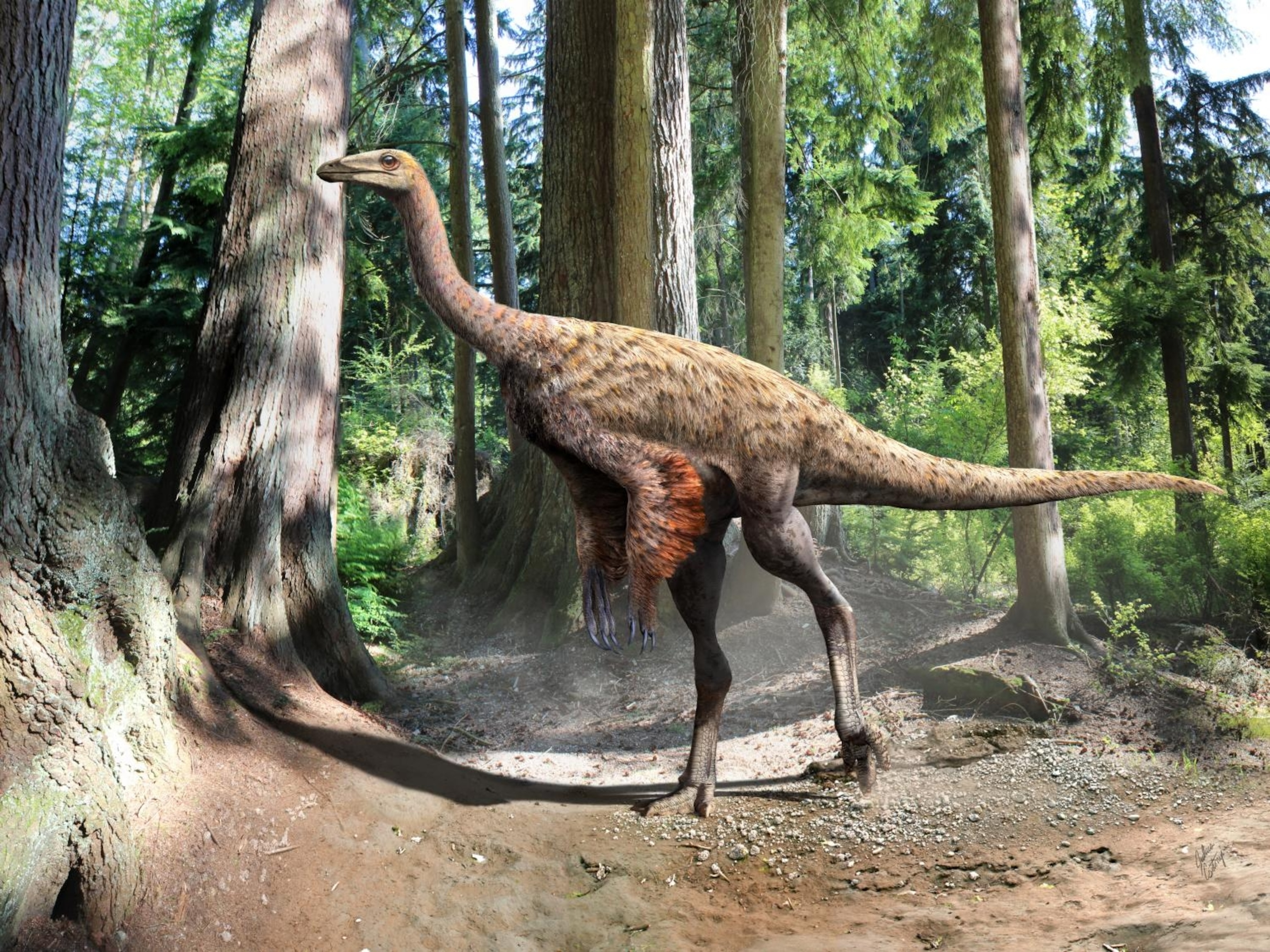 Fossil Fuzz Gives “Ostrich Mimic” Dinosaur a New Look