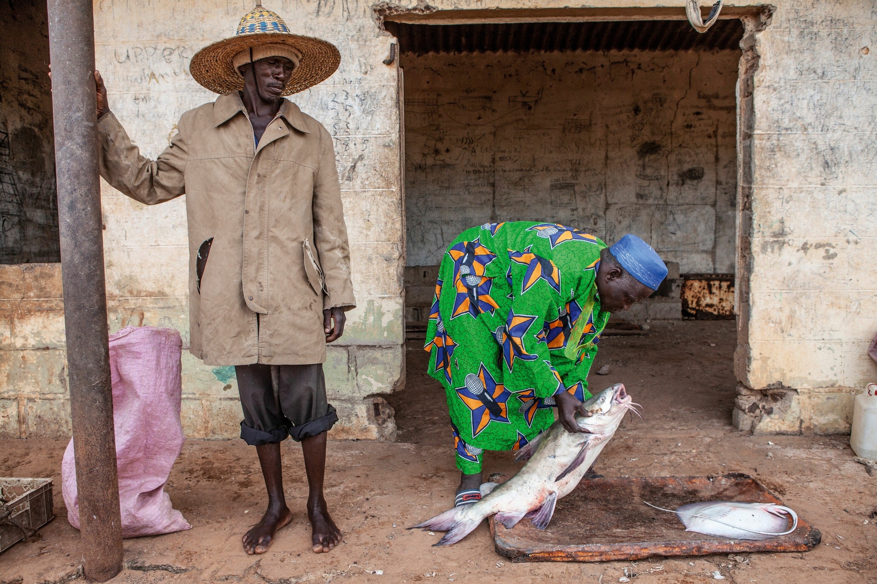 Fishing remains an important activity here, and the promise of a plentiful catch draws seasonal migrants. Among them are the Toucouleur people from neighbouring Senegal, who call out to each other in the Pulaar language, as well as a smattering of French, as they haul in their nets. Here, a fish merchant checks the freshness of a fisherman's catch.