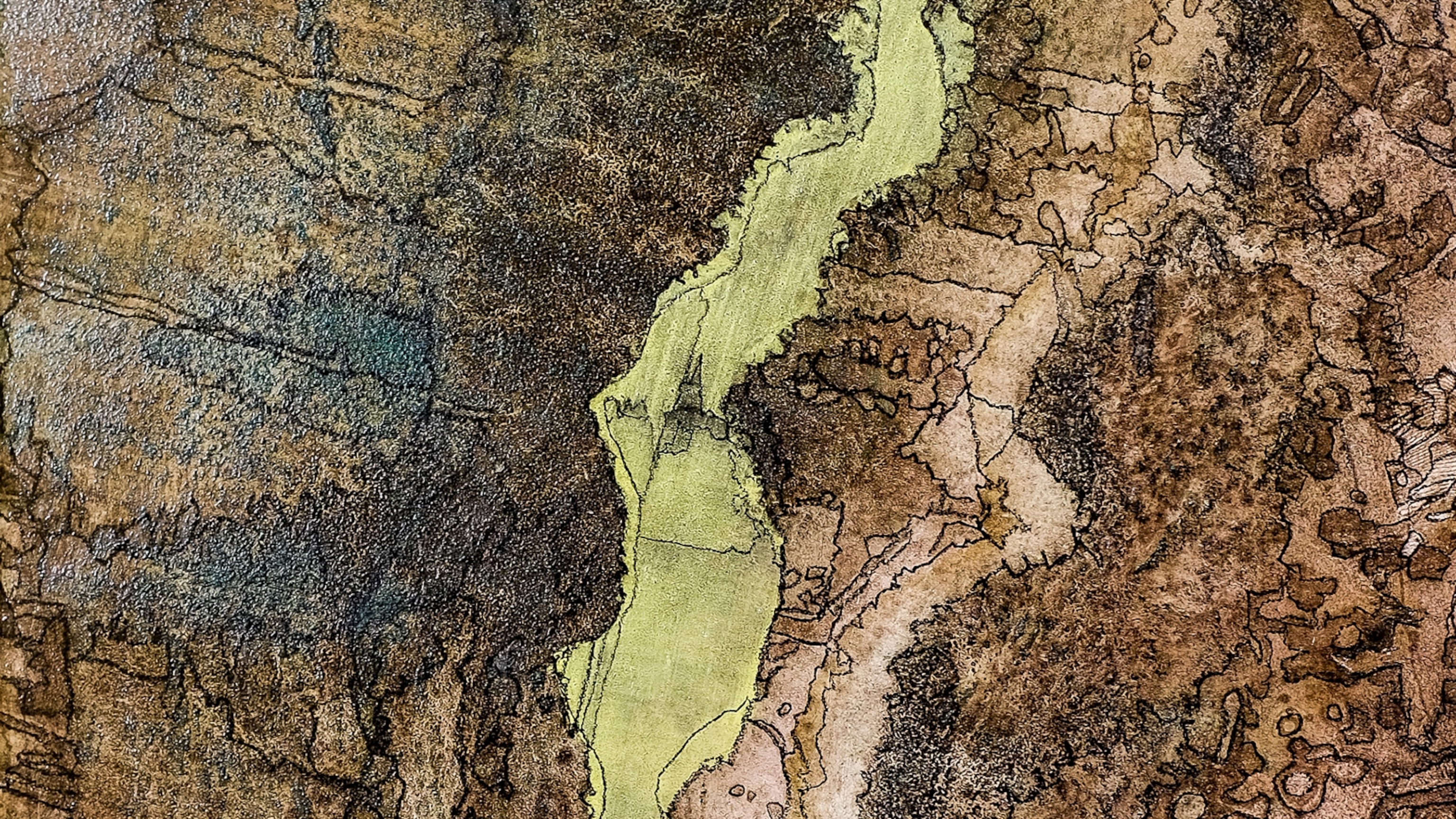 To save their salmon, this Native coalition fought the government for 20 years—and won
