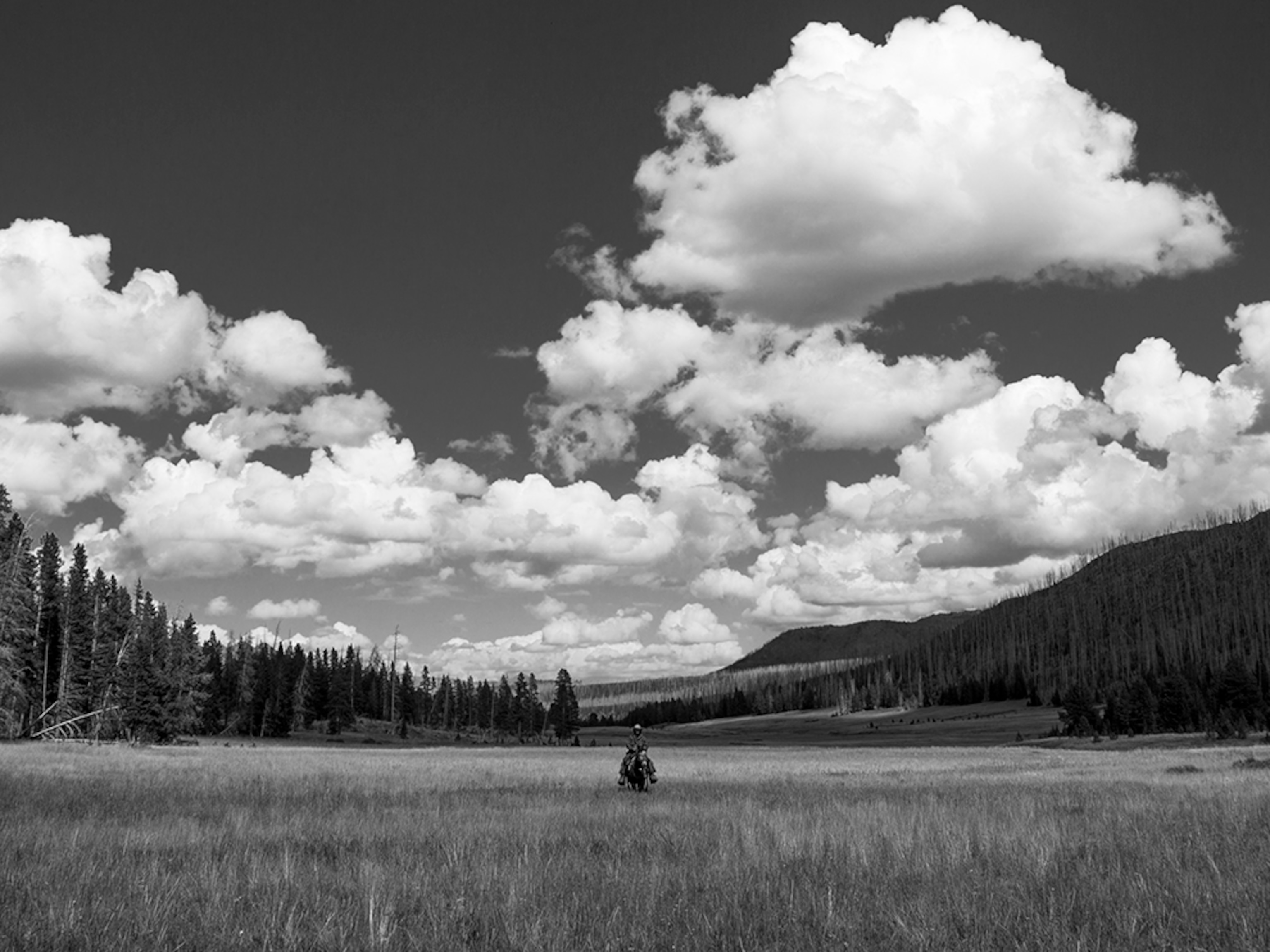 Ray Knell riding his horse Mustang Sally.