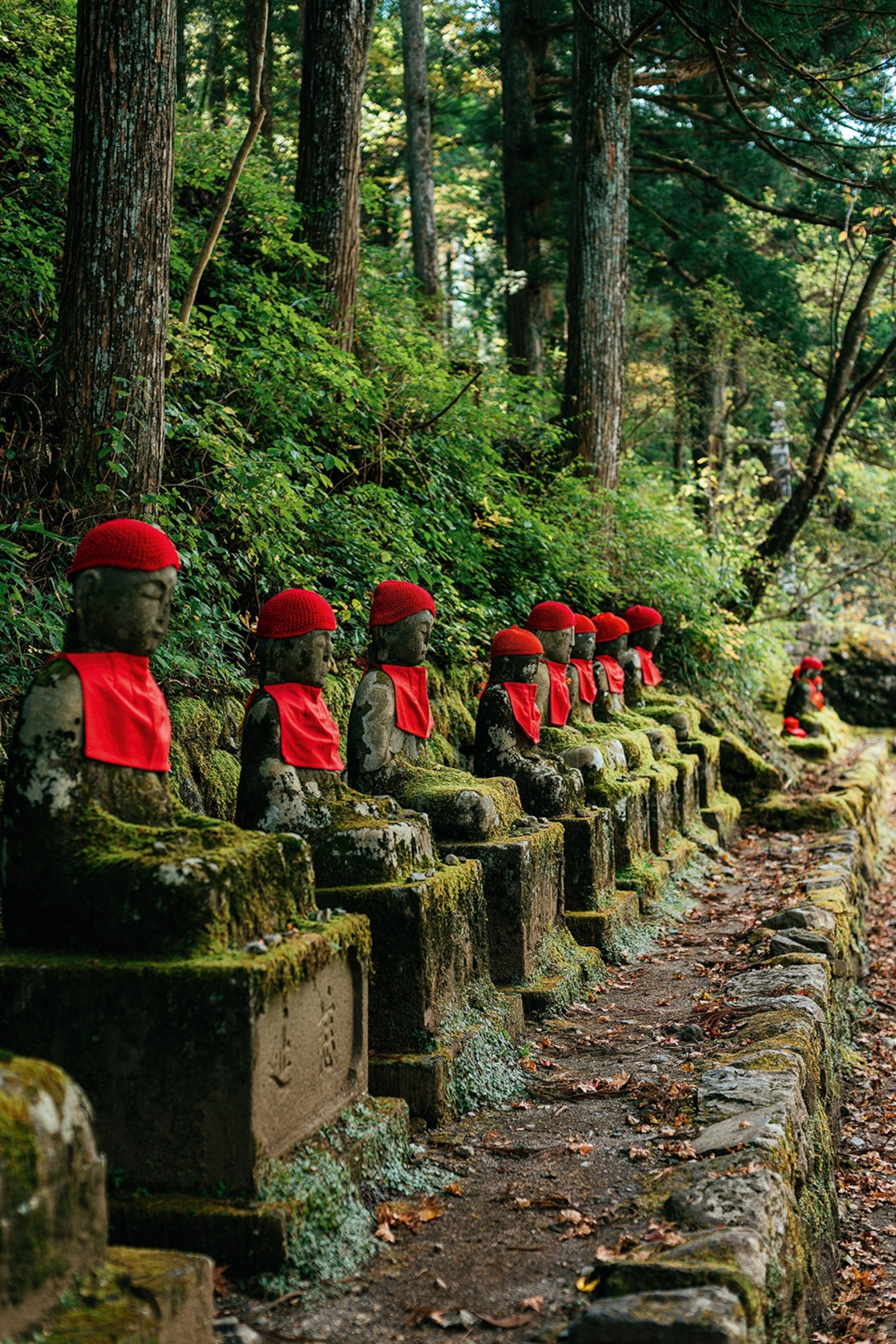 A line of moss-covered Buddha statues, each wearing a bright read bib and headband in a forest.