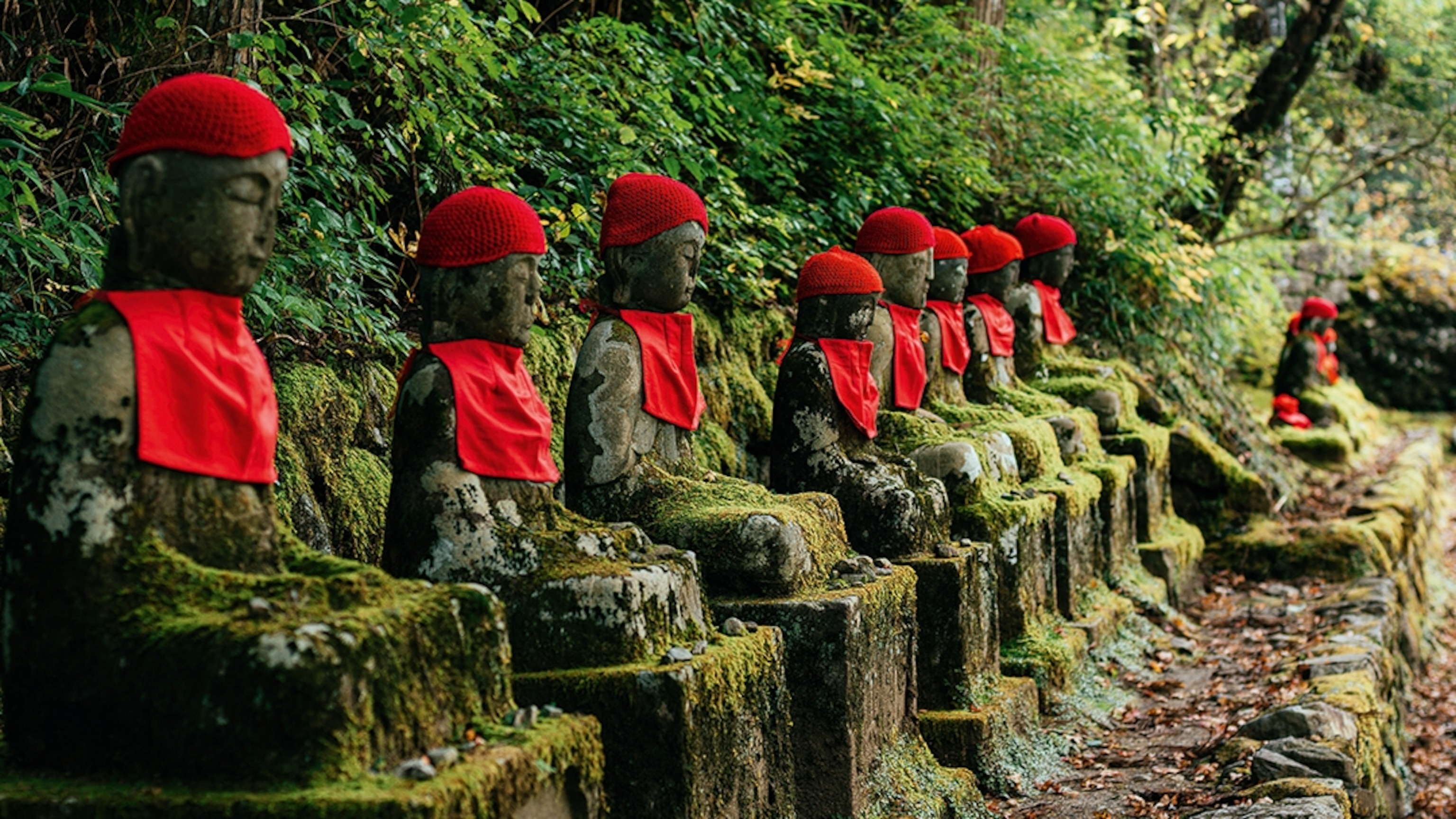 Watch the Seasons Unfold on a Journey Through Nikko, Japan