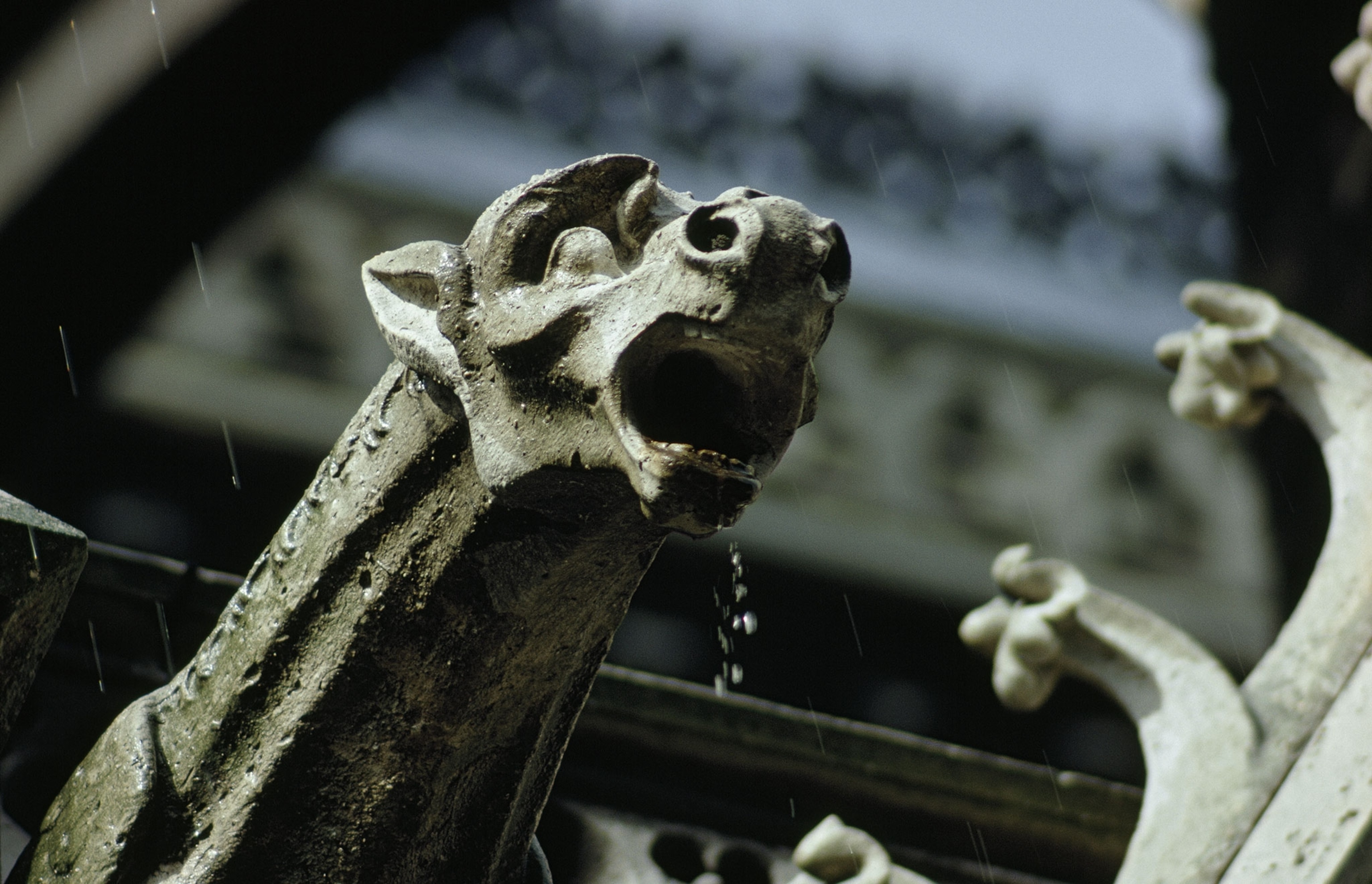 a gargoyle