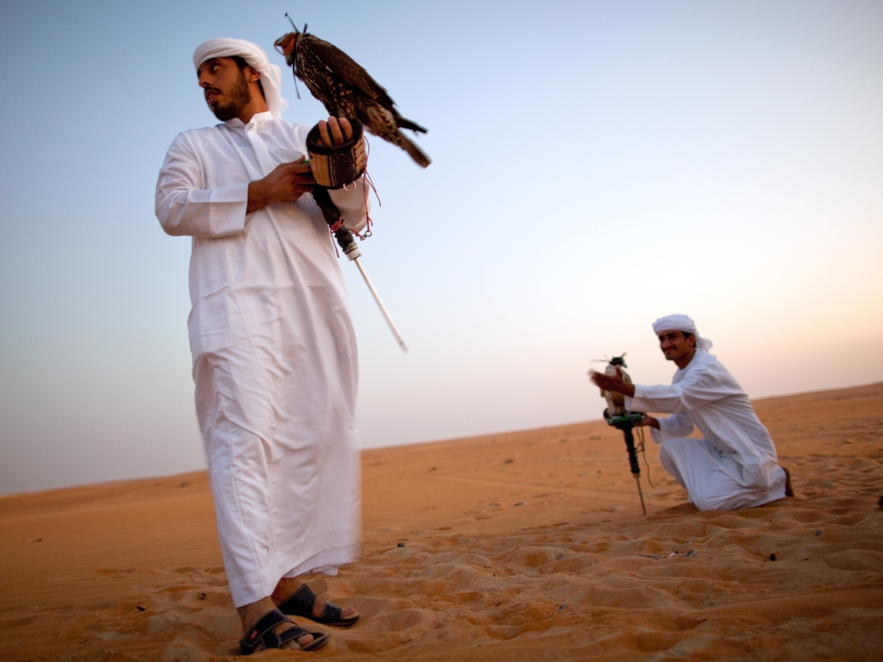 two Bedouin men with falcons in the desert