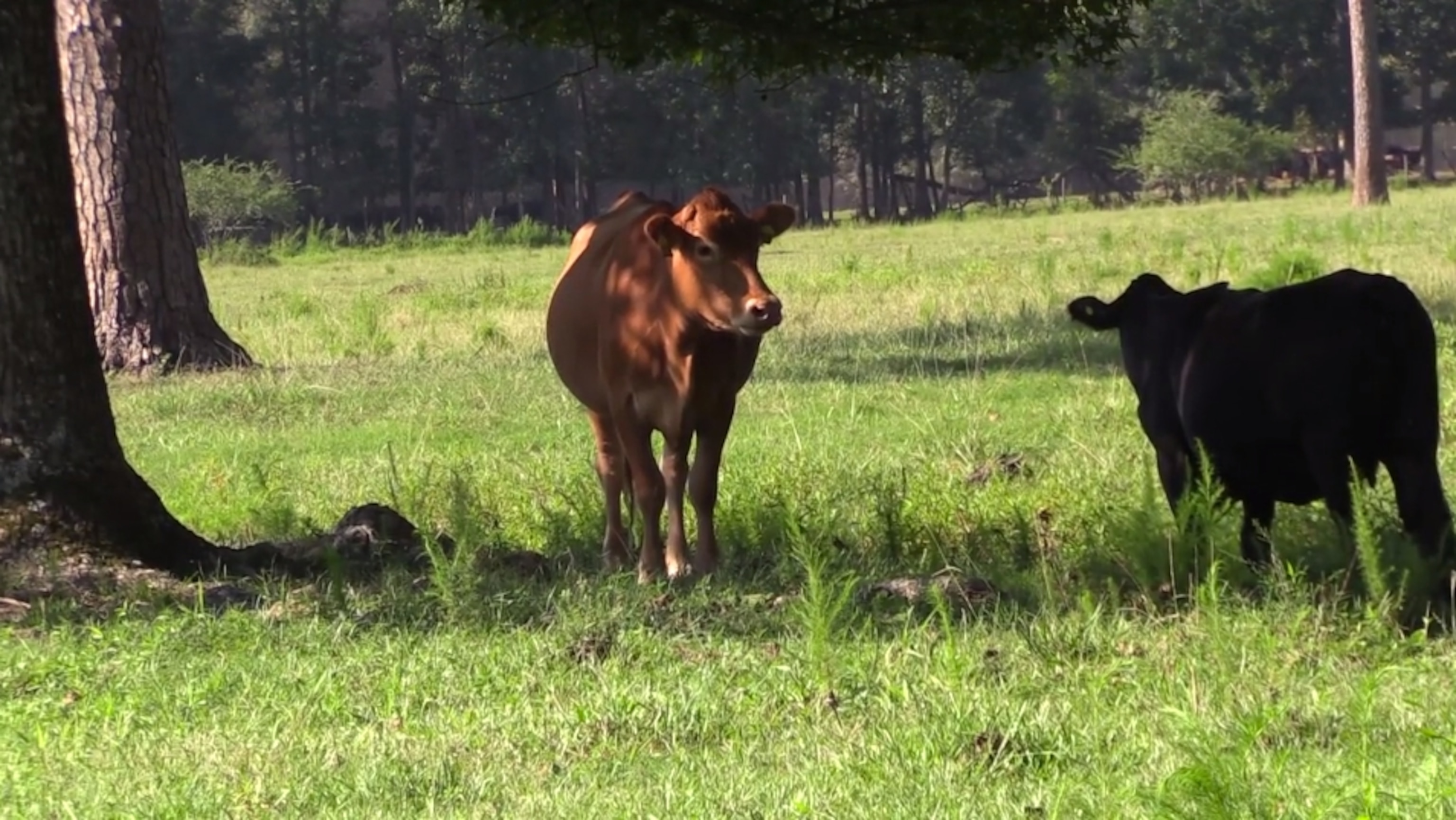 Screen Shot 2014-10-16 at 3.16.25 PM