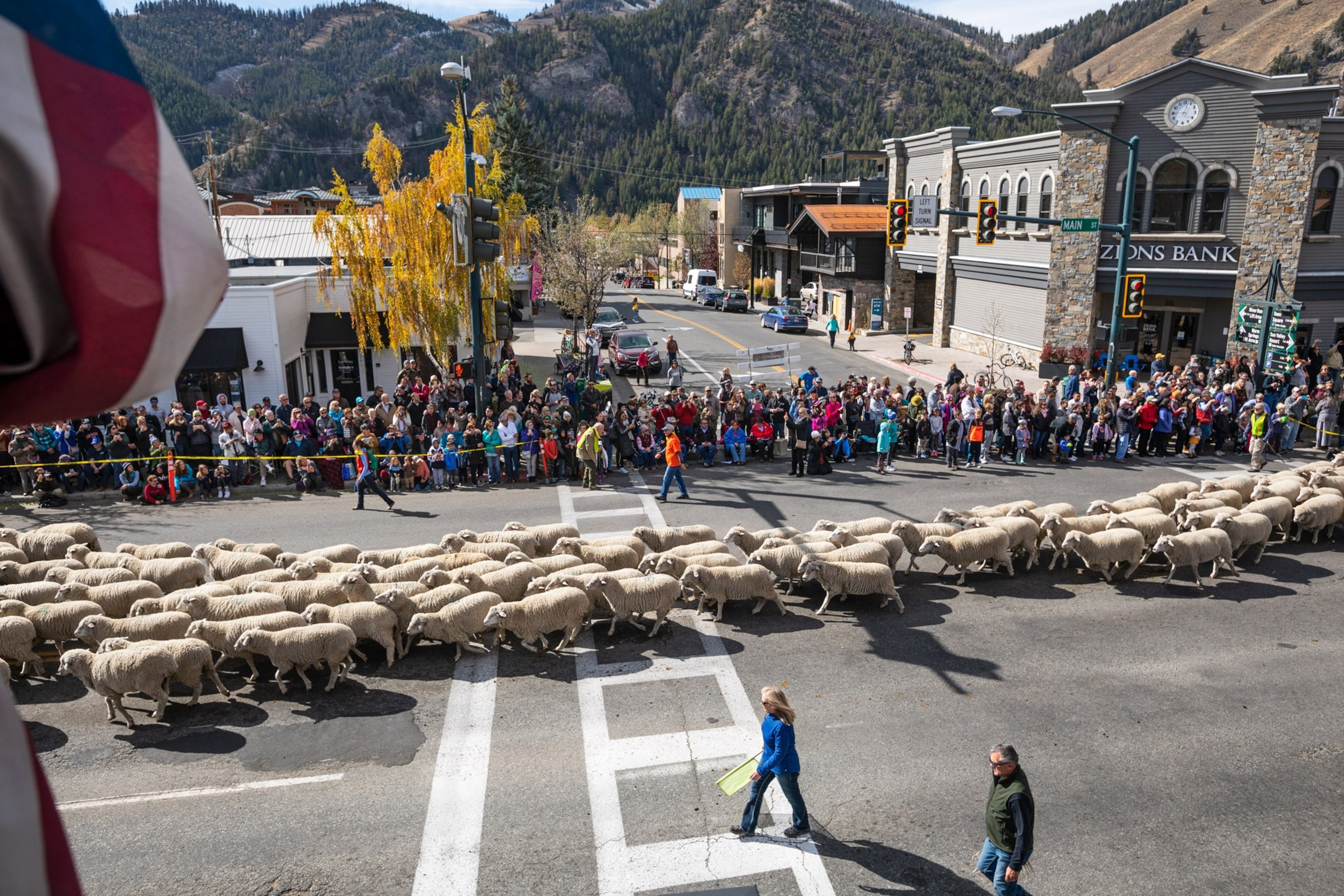 thousands of sheep walking through town at the Trailing of the Sheep Festival