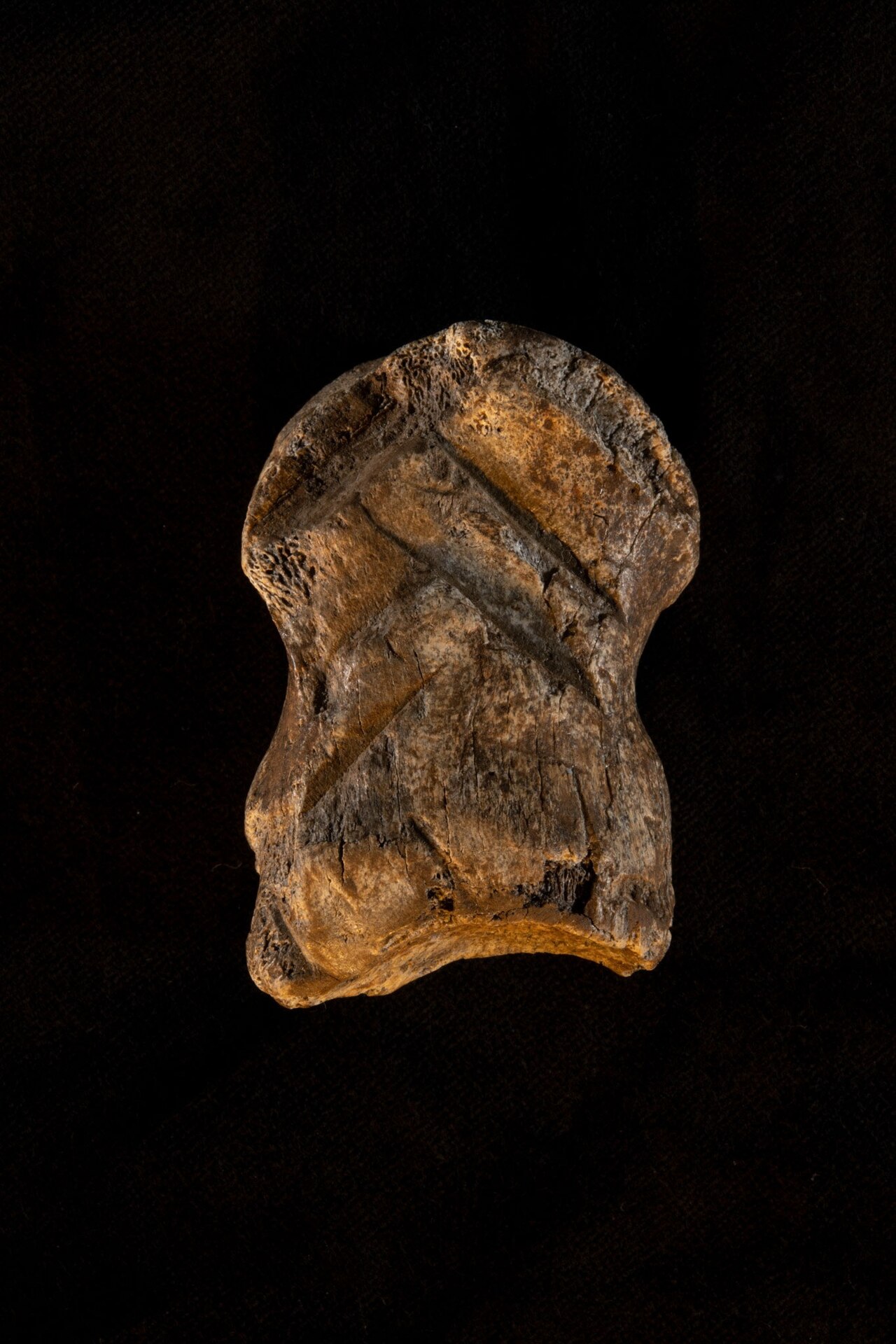 01-unicorn-cave-neathdertal-carving.jpg?