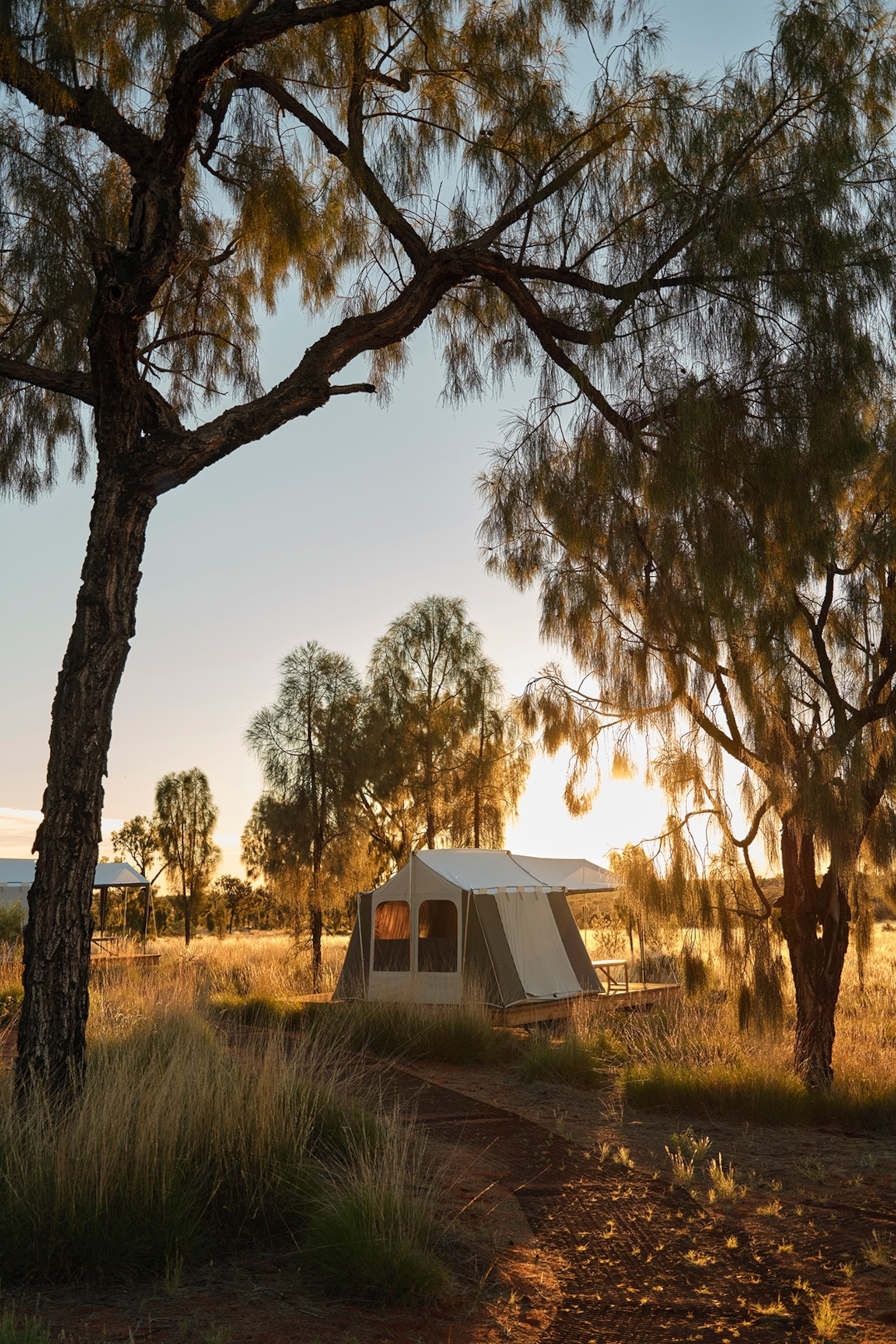 A pitched tent in between desert trees at sunset in Australia.