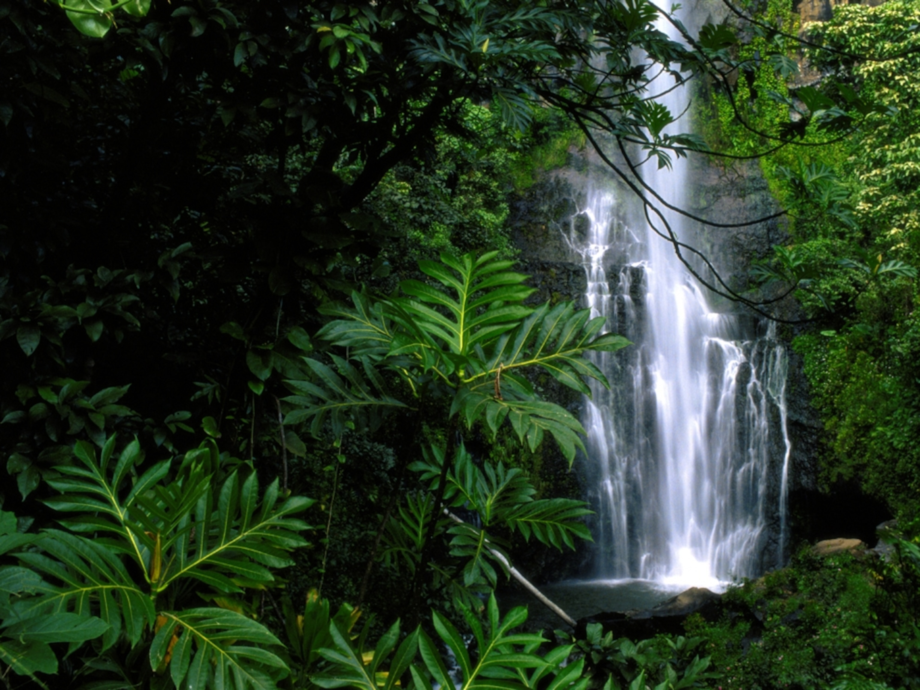 Wailua Falls, Hawaii