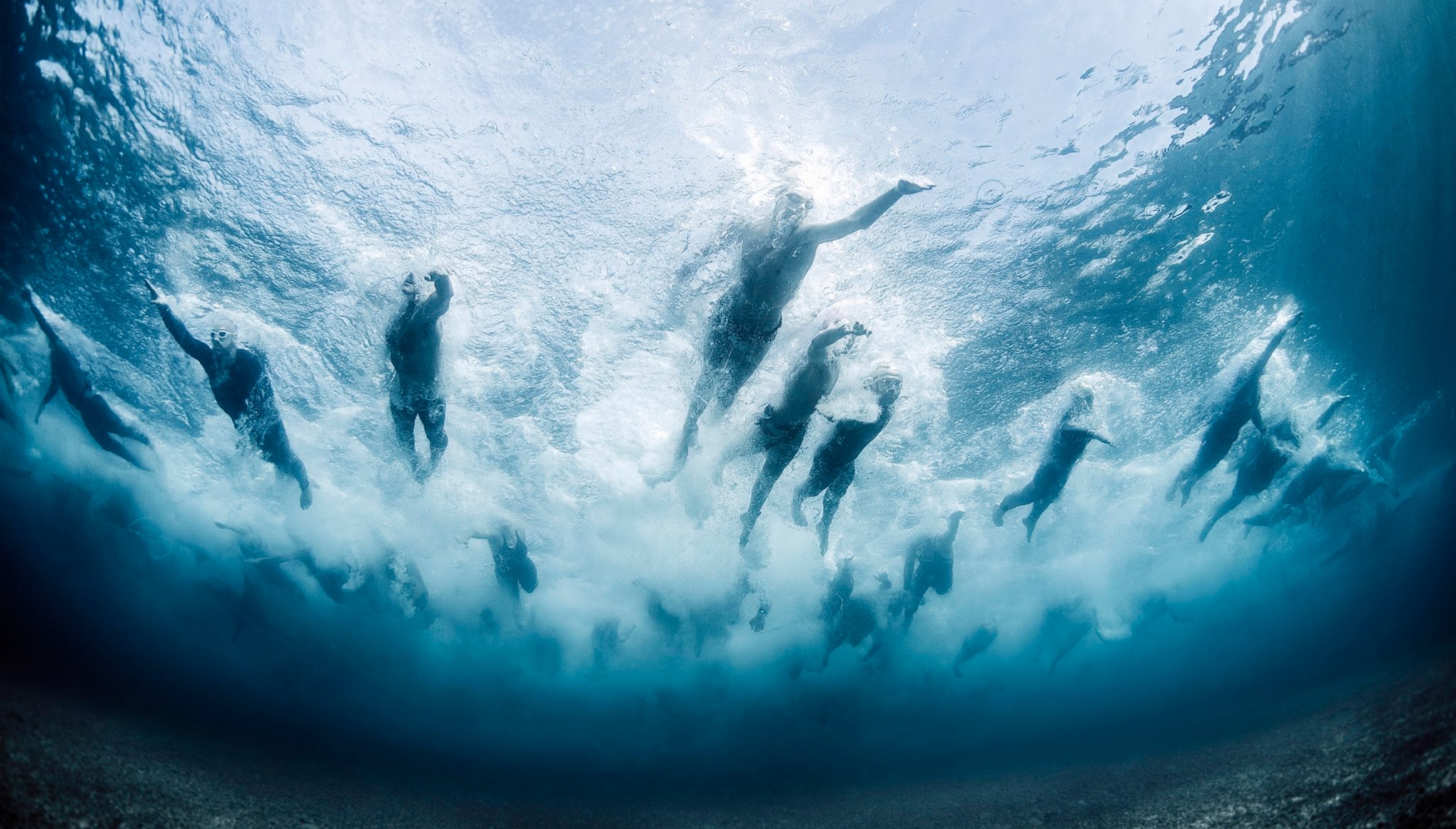 swimmers are competing in an open-water swimming event through clear water