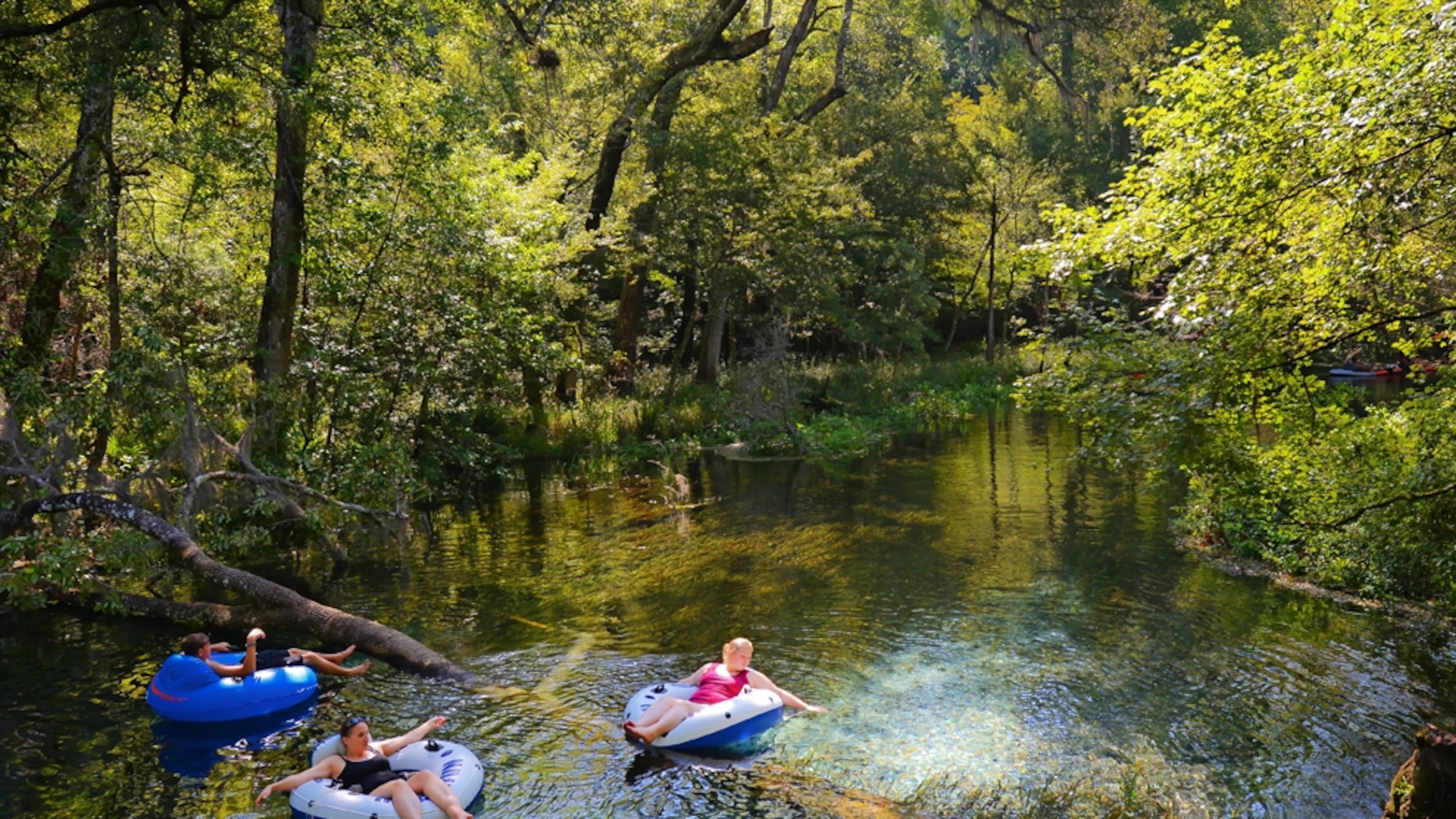 Florida by Water: Go Tubing -- National Geographic