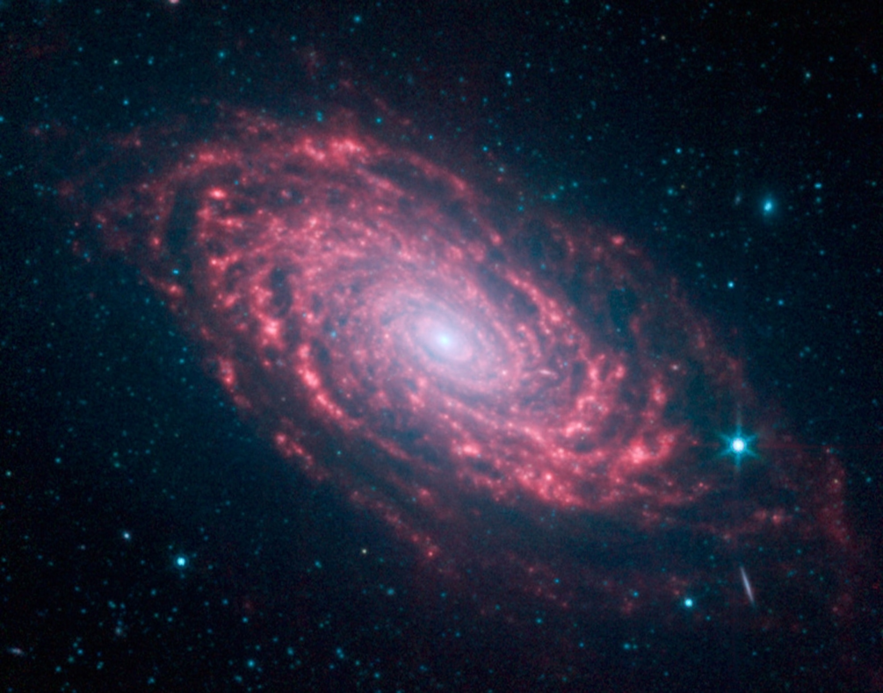 Infrared picture of the Sunflower galaxy