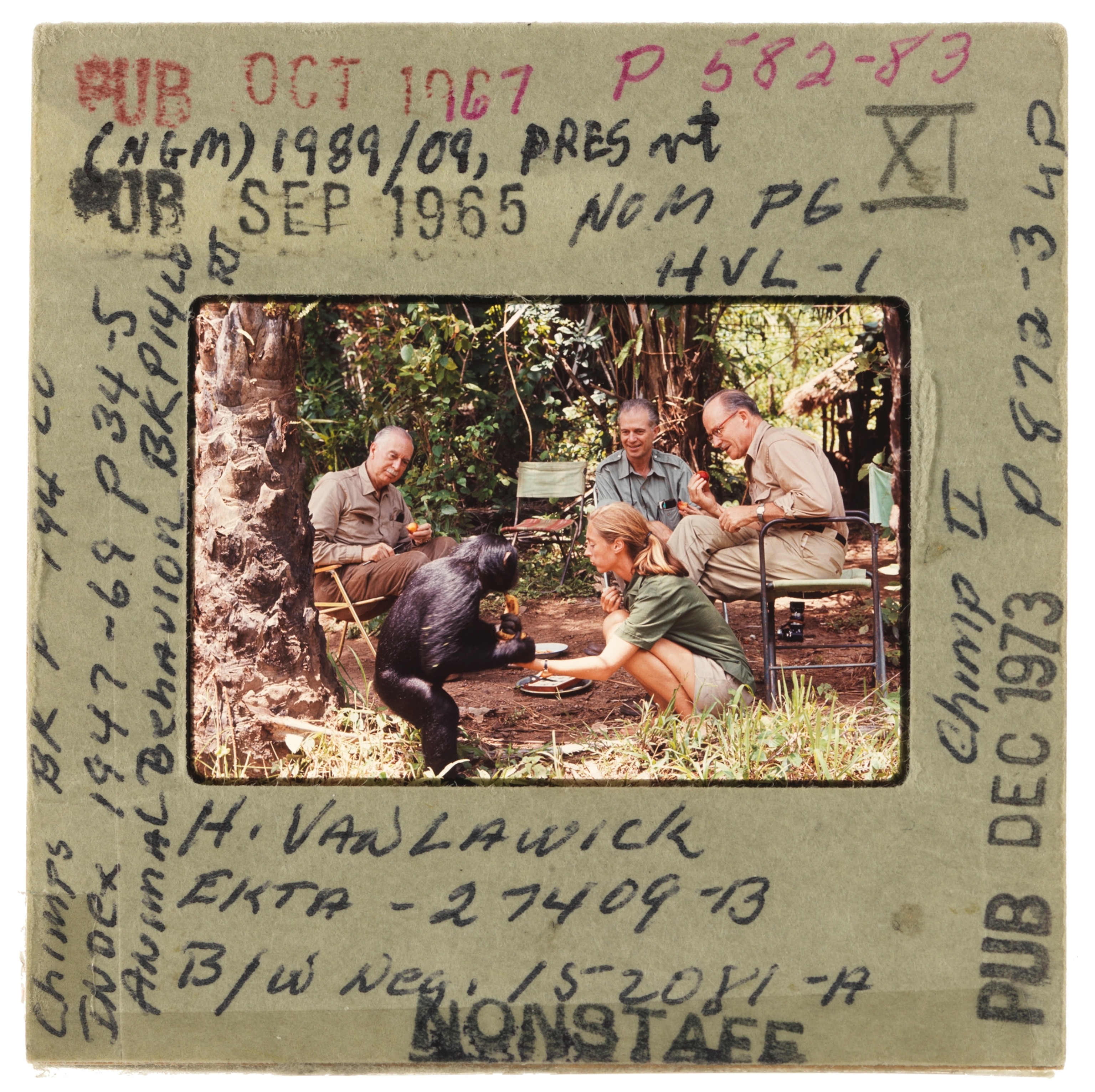 Jane Goodall meets with members of National Geographic Society.