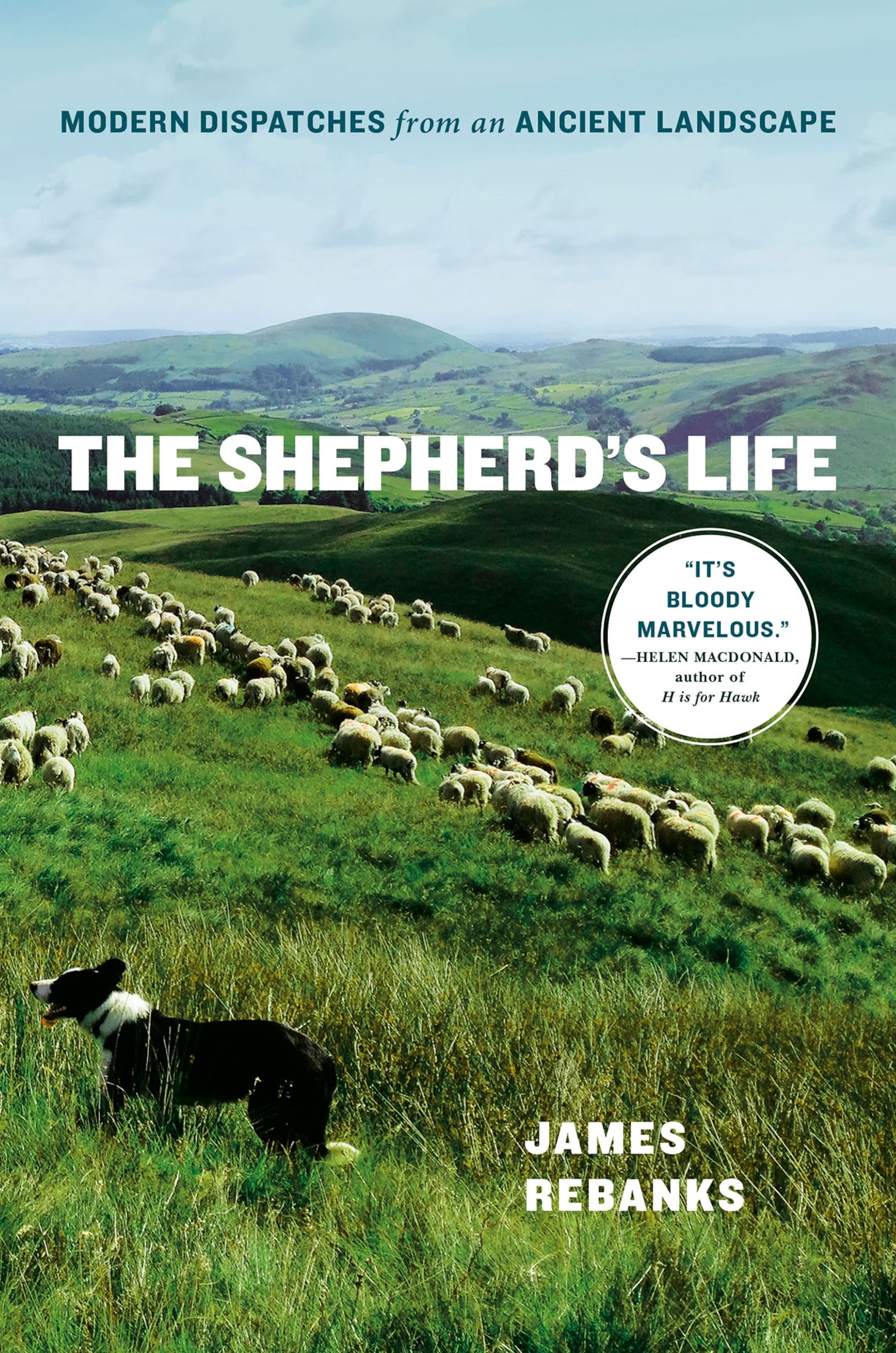 cover of The Shepherd's Life