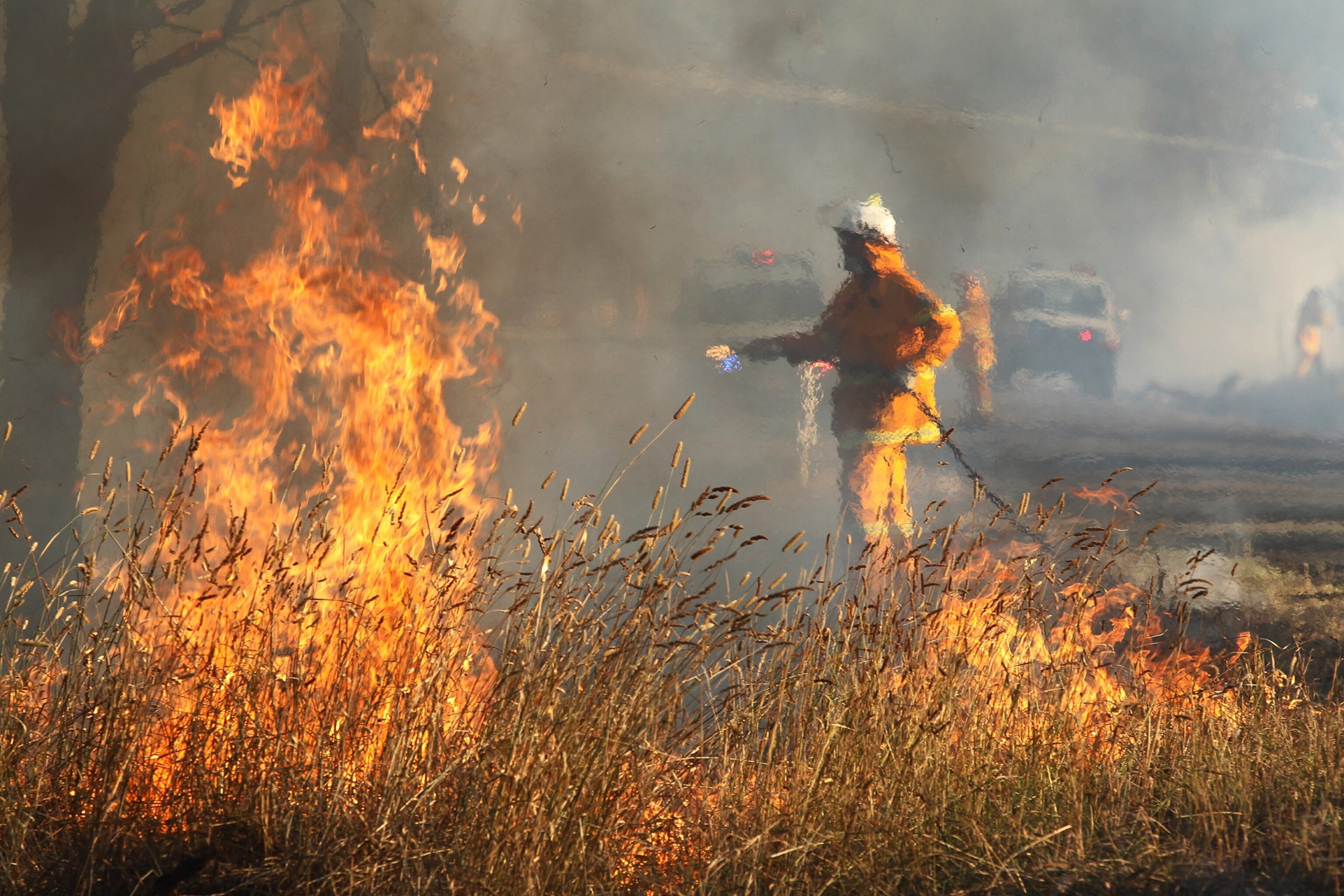 Australian wildfires picture - firefighter tackles blaze in New South Wales