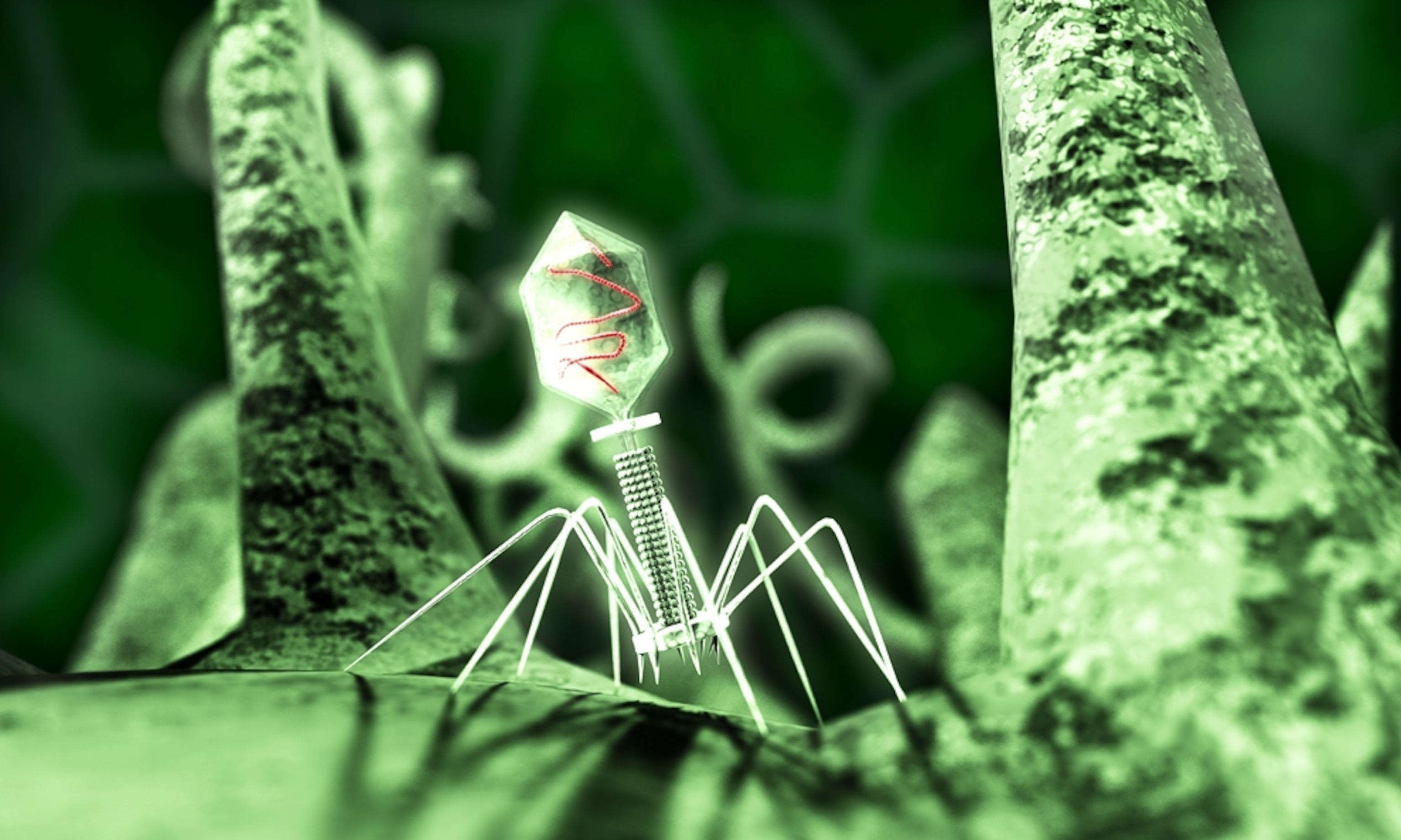 3-D image of bacteriophage picture